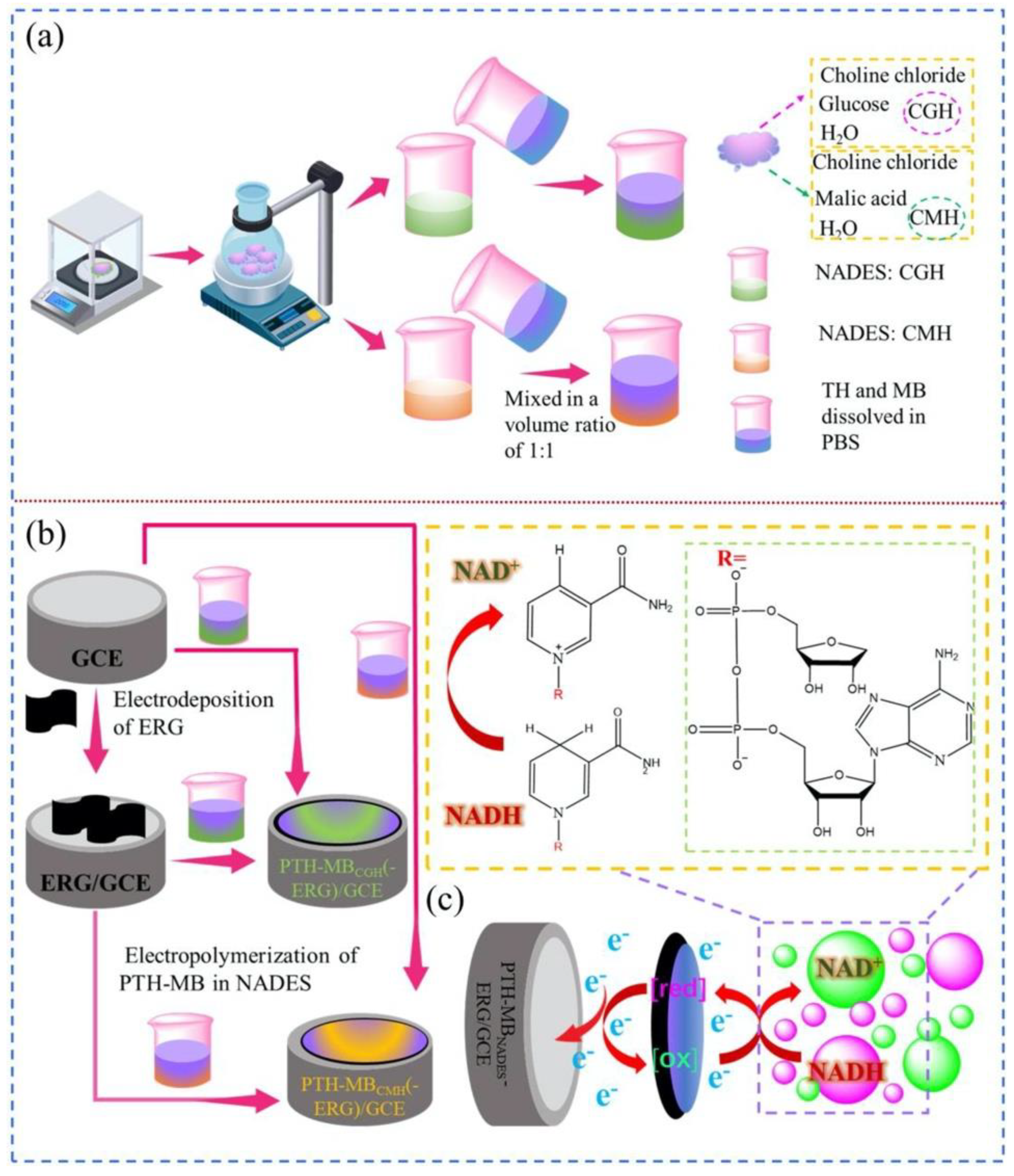 Preprints 98570 g004