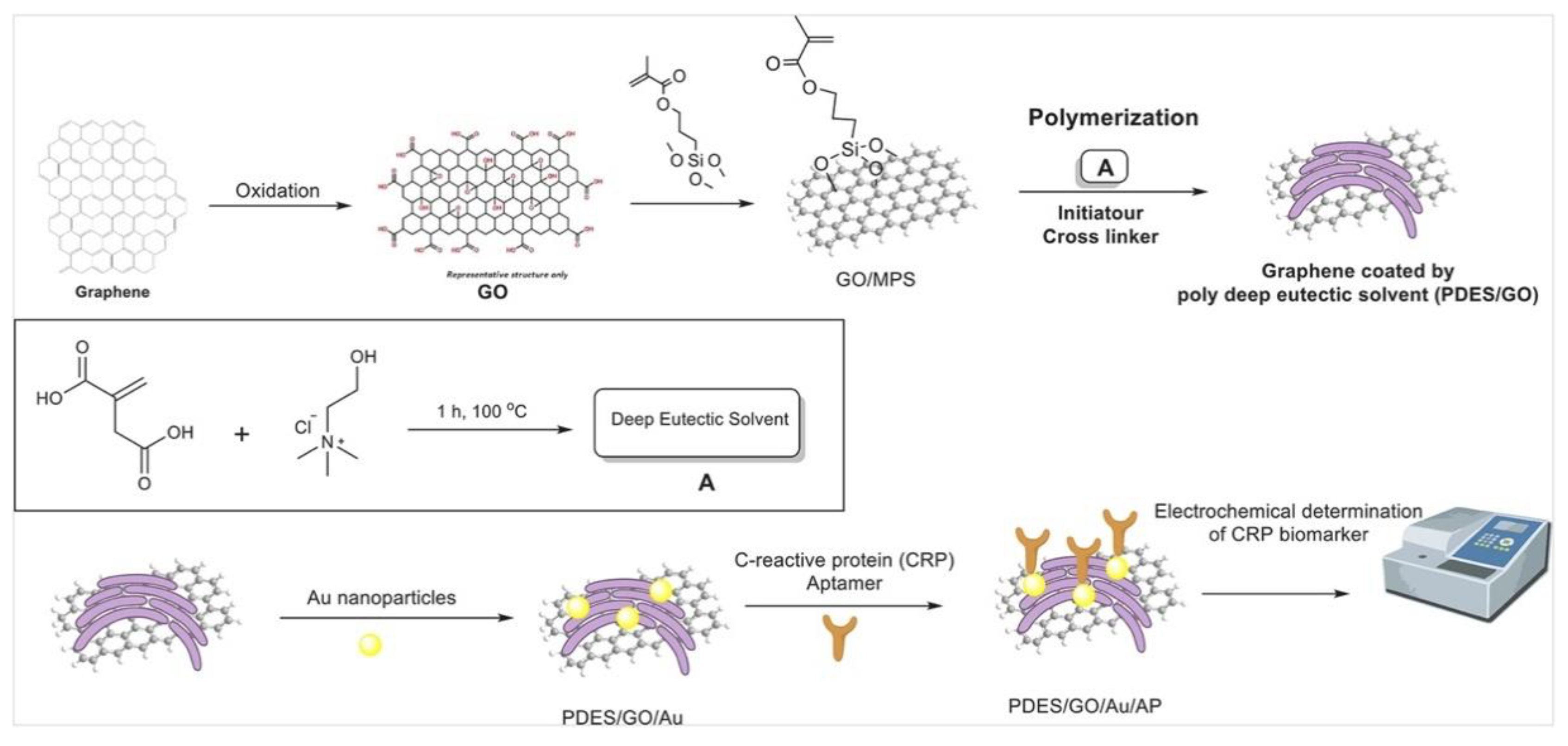 Preprints 98570 g005