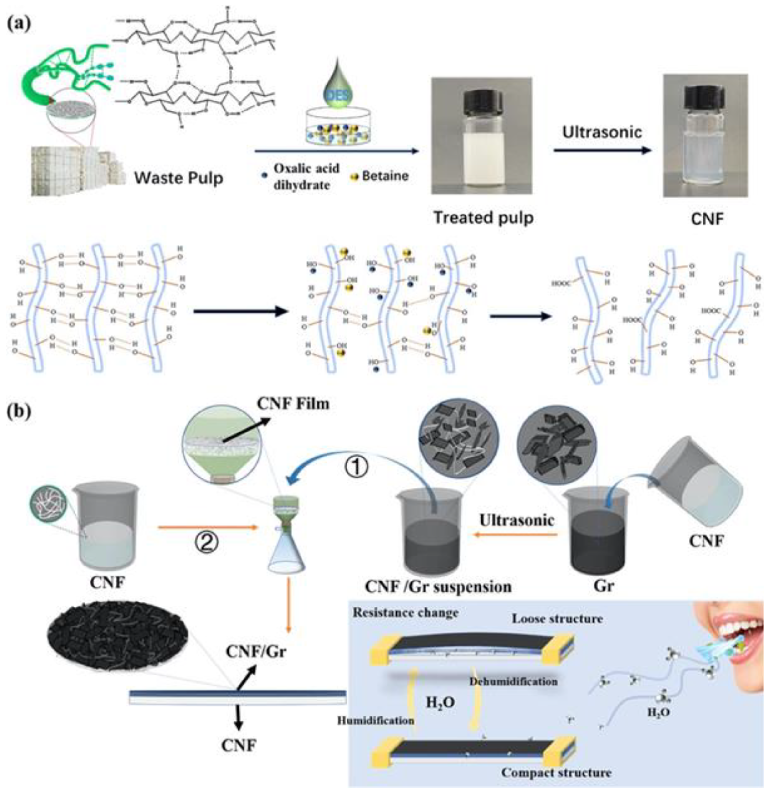 Preprints 98570 g006