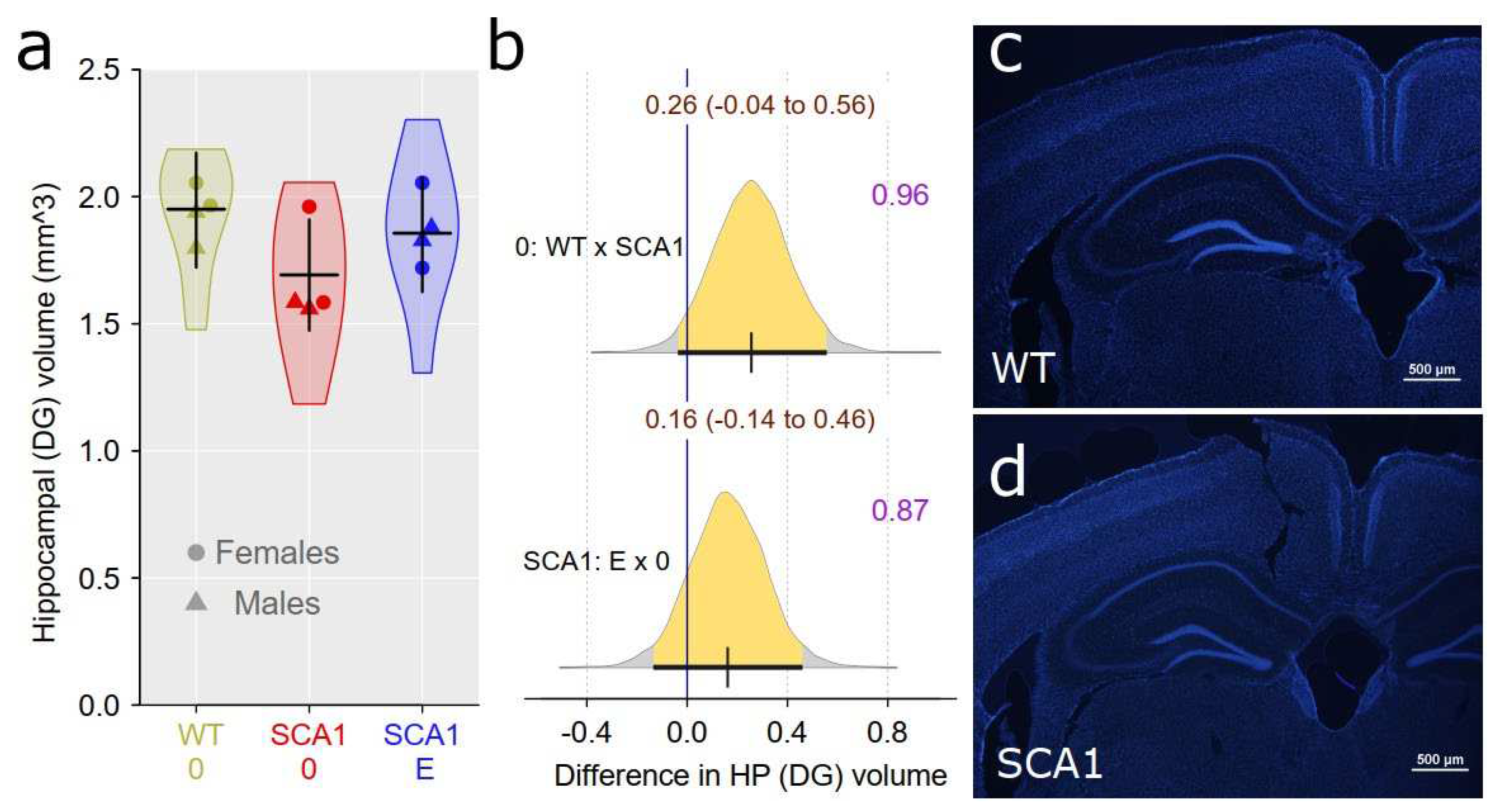 Preprints 75428 g010