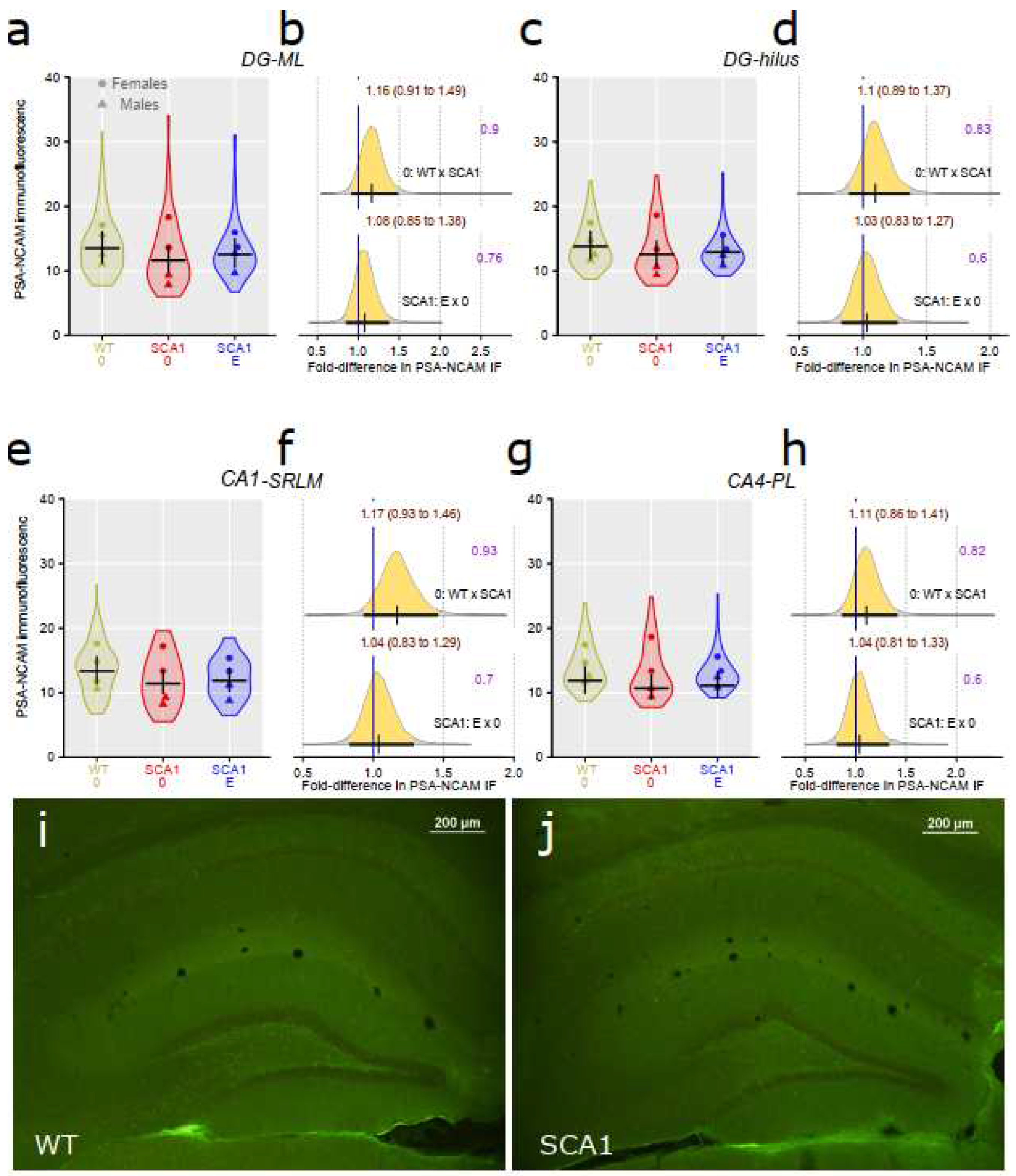 Preprints 75428 g011