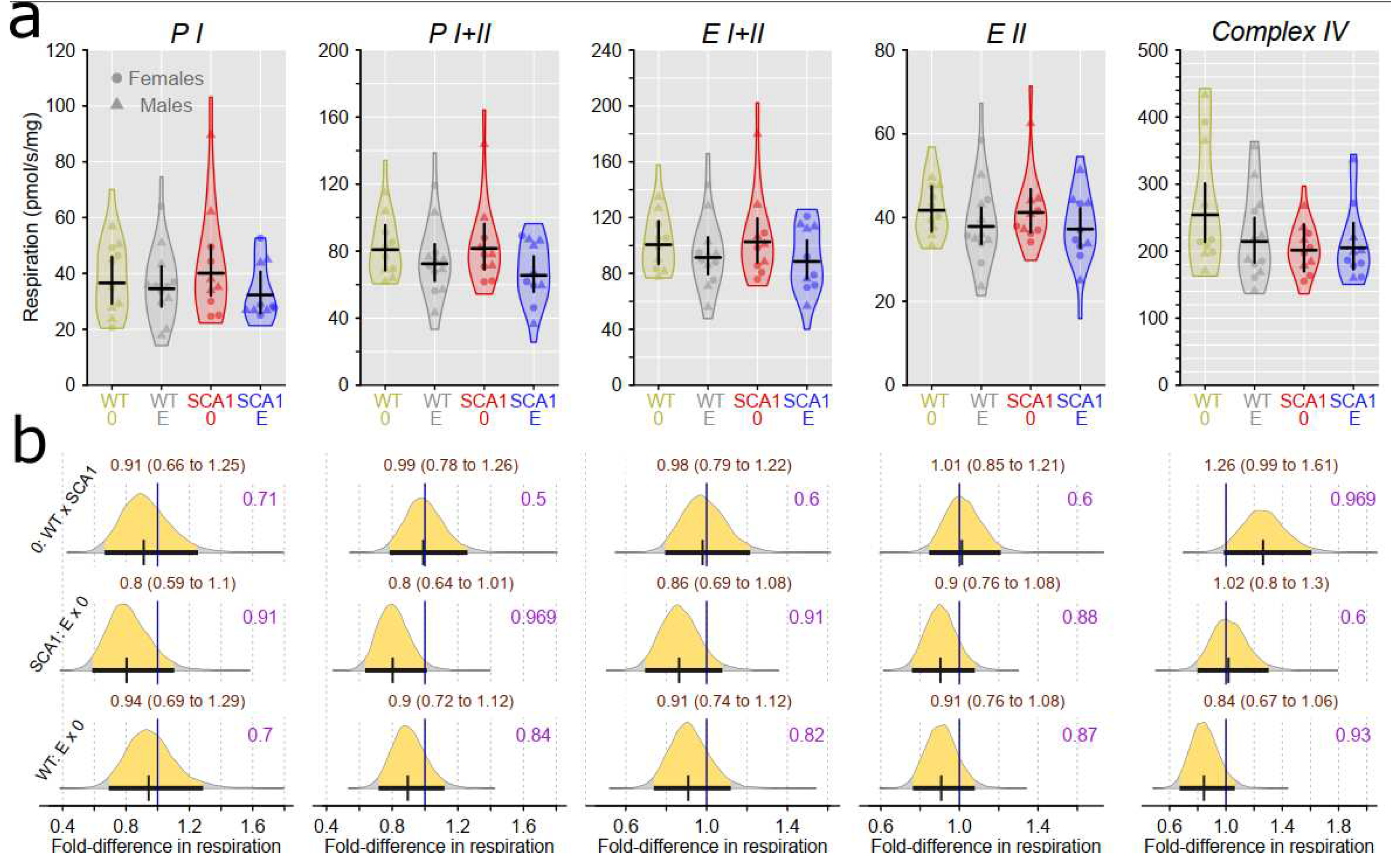 Preprints 75428 g012