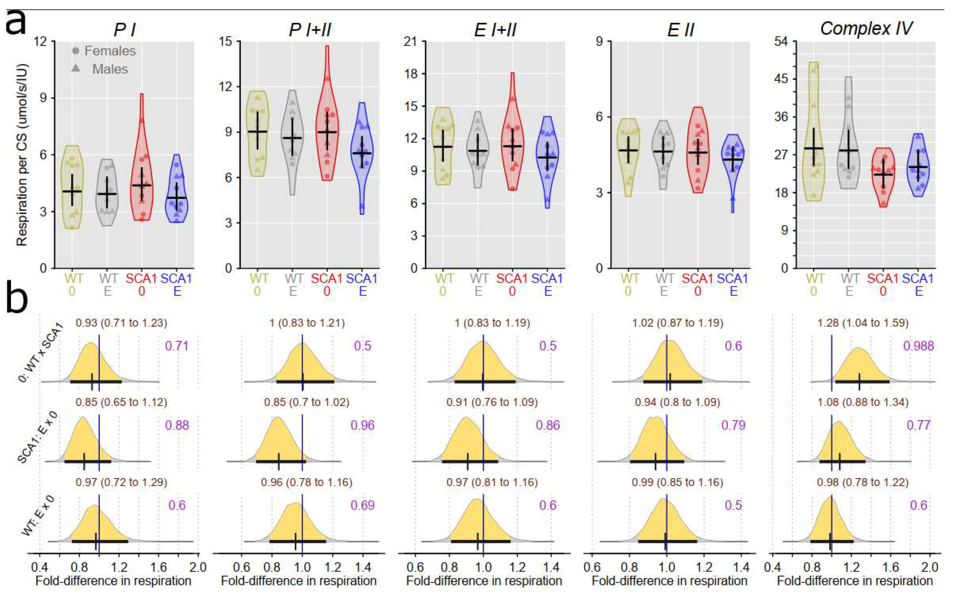 Preprints 75428 g013