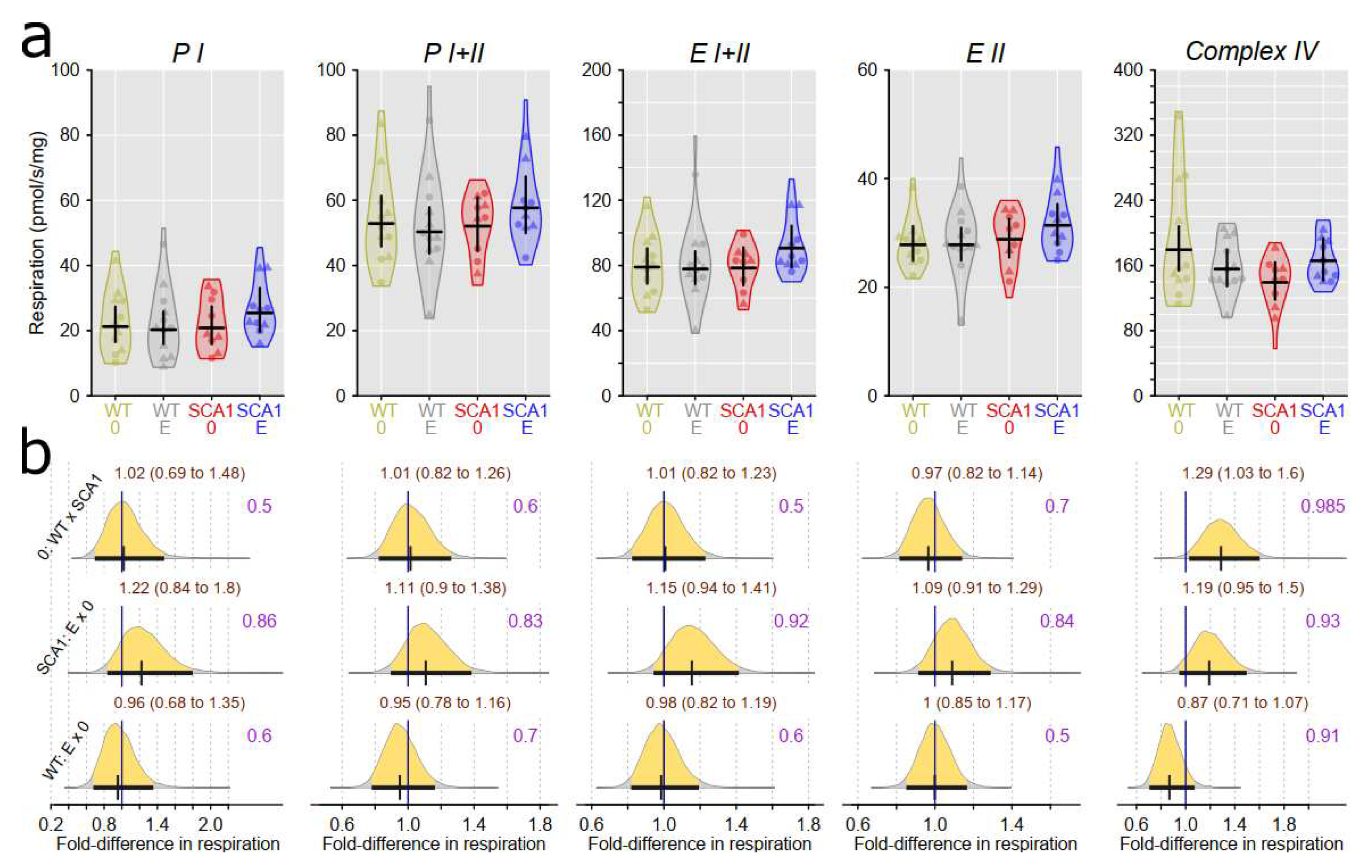 Preprints 75428 g014