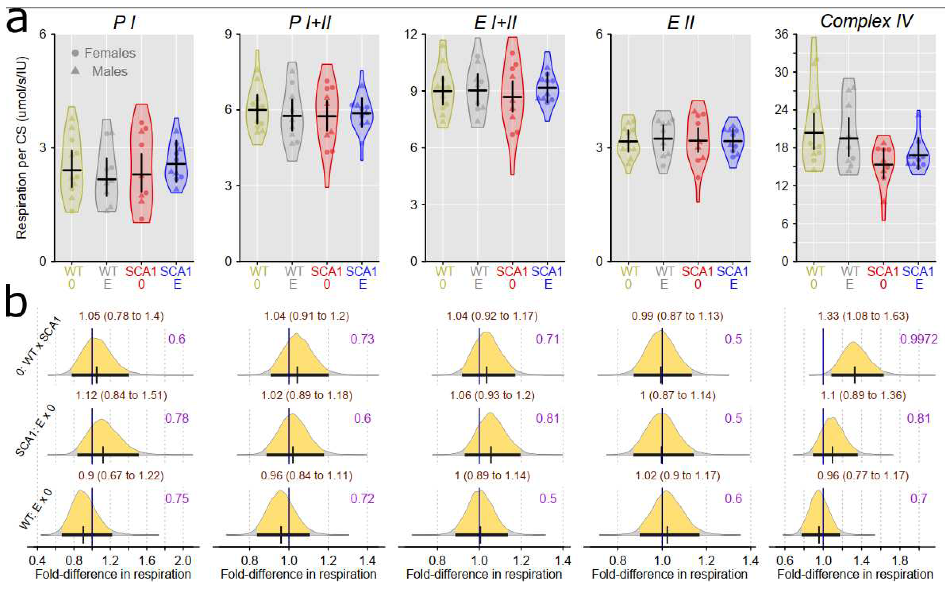 Preprints 75428 g015