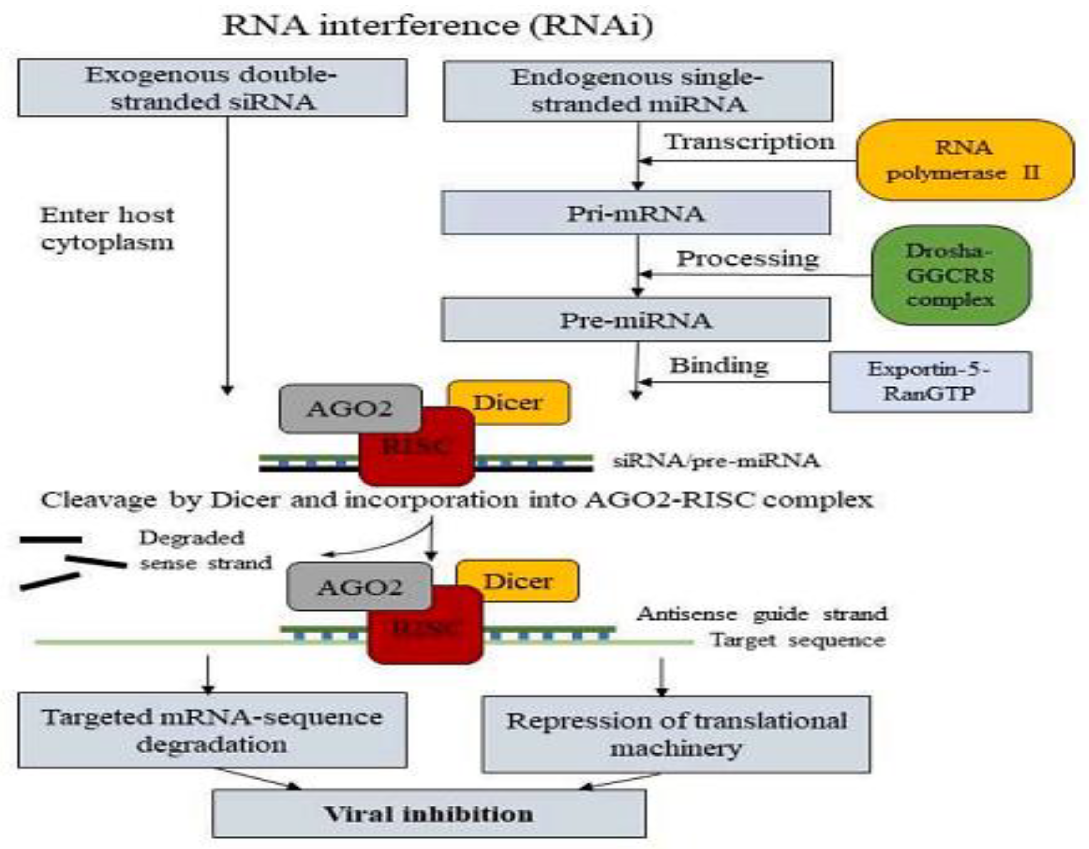 Preprints 122020 g007