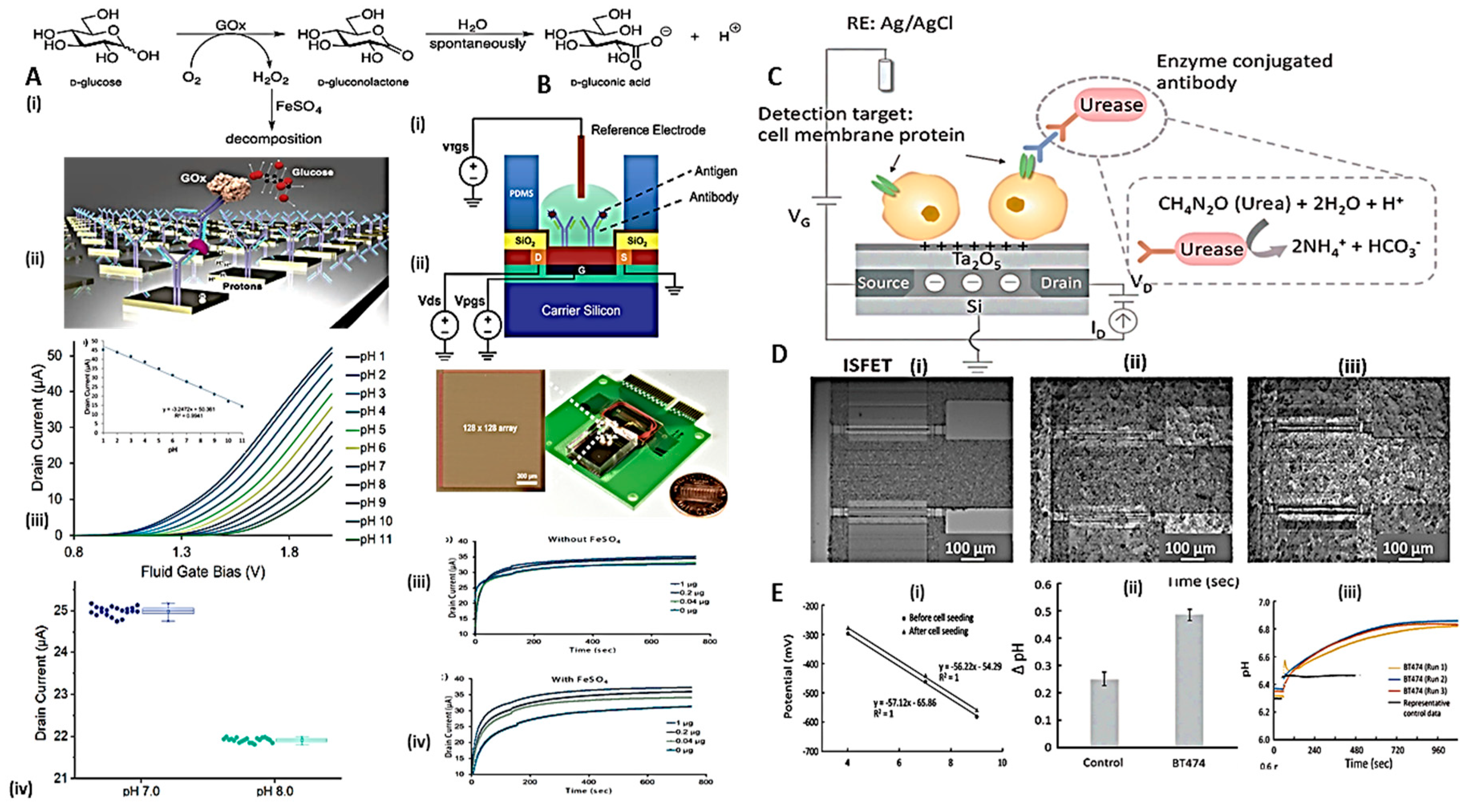 Preprints 81262 g004