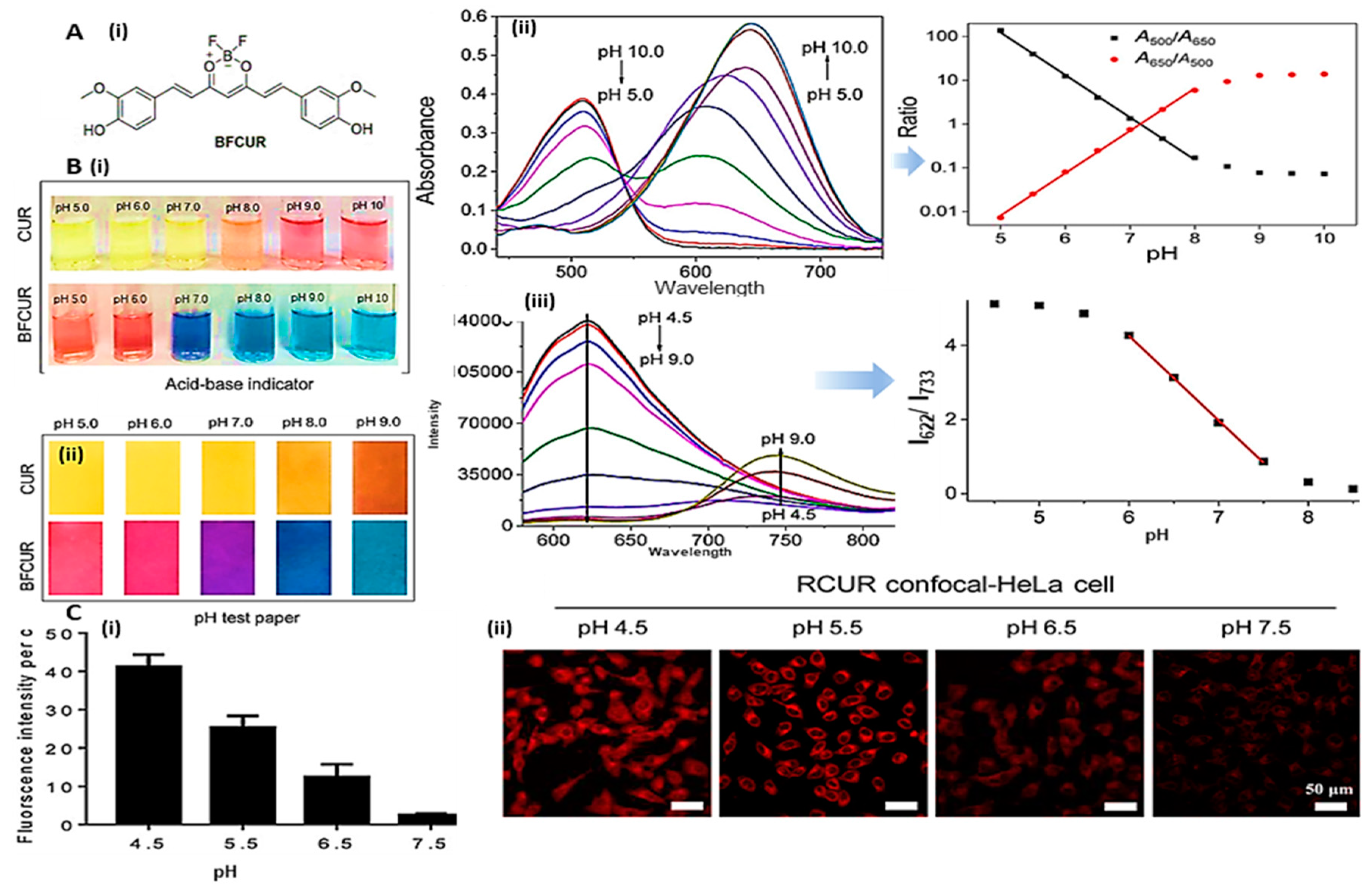 Preprints 81262 g005