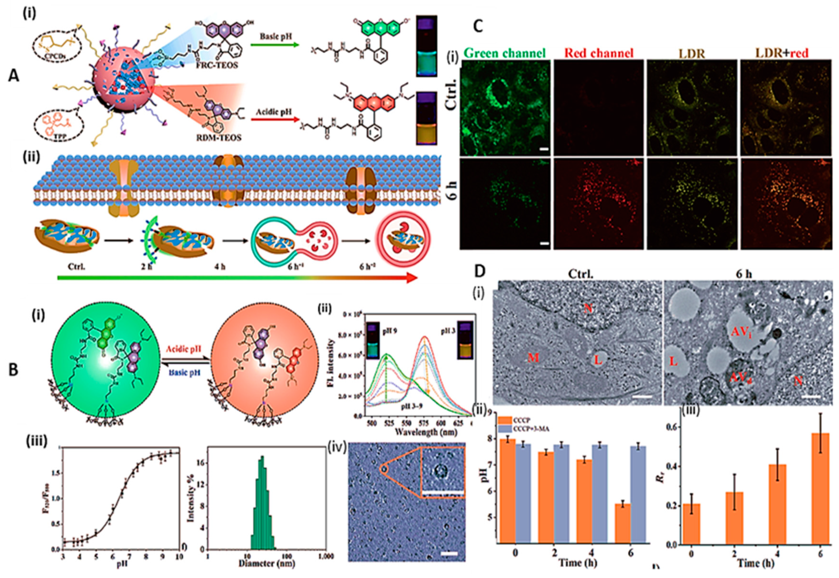 Preprints 81262 g006