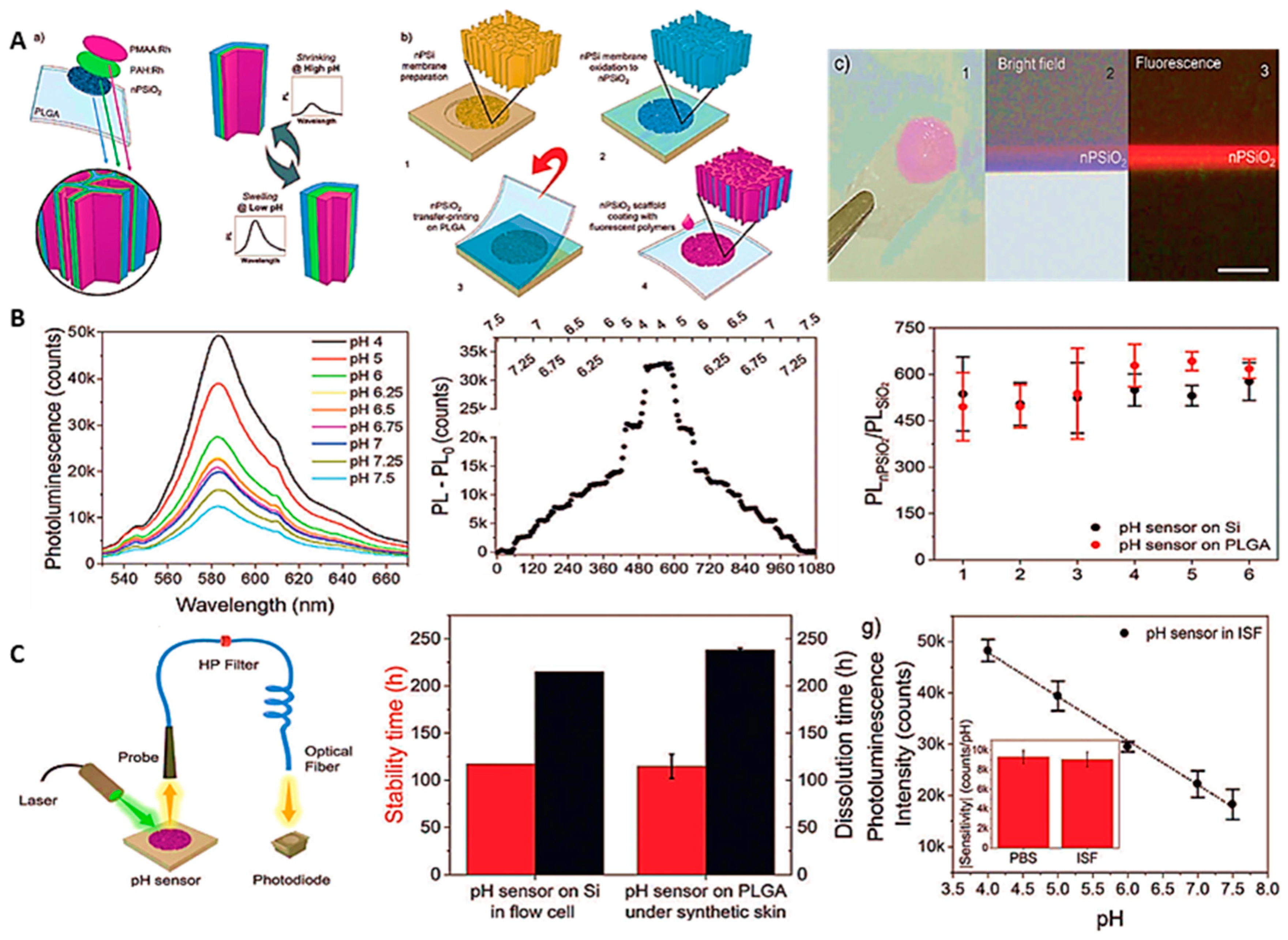 Preprints 81262 g007