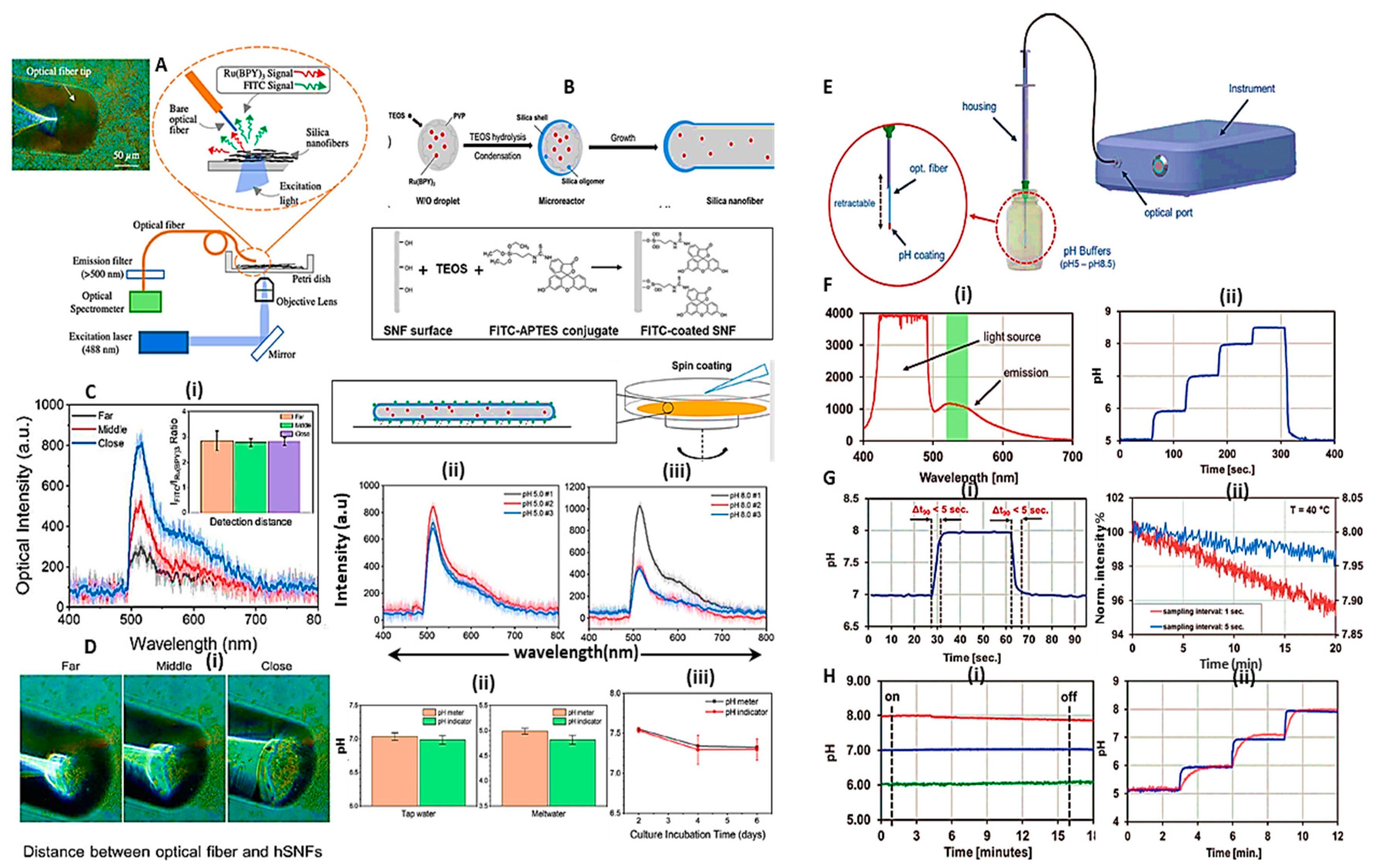 Preprints 81262 g008