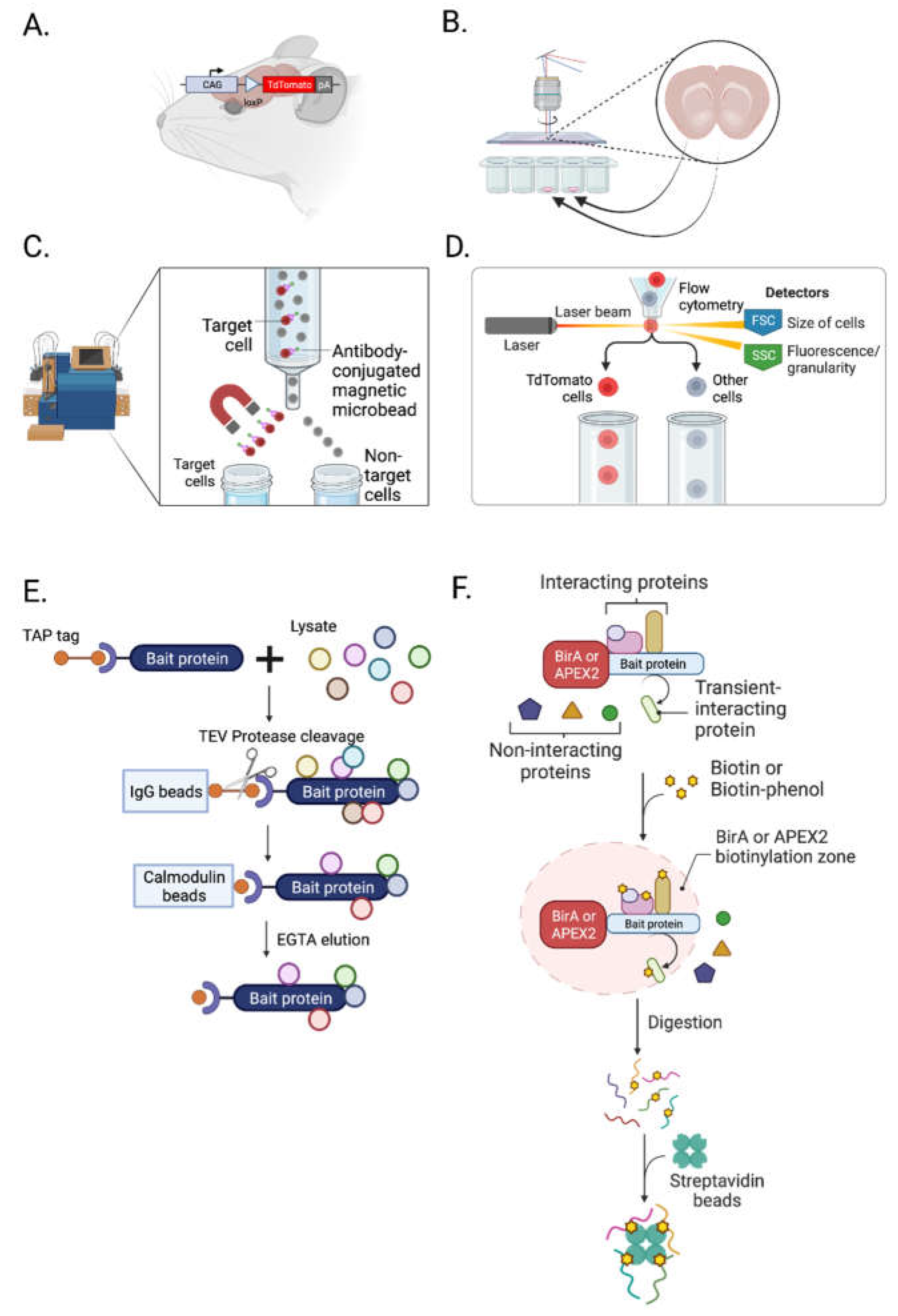 Preprints 74058 g002