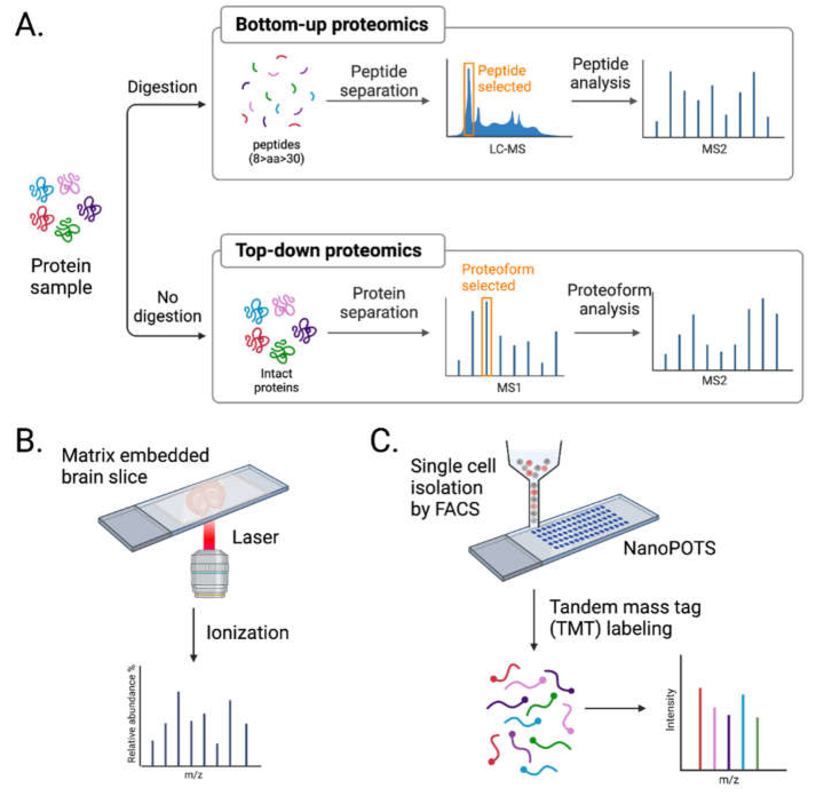 Preprints 74058 g003