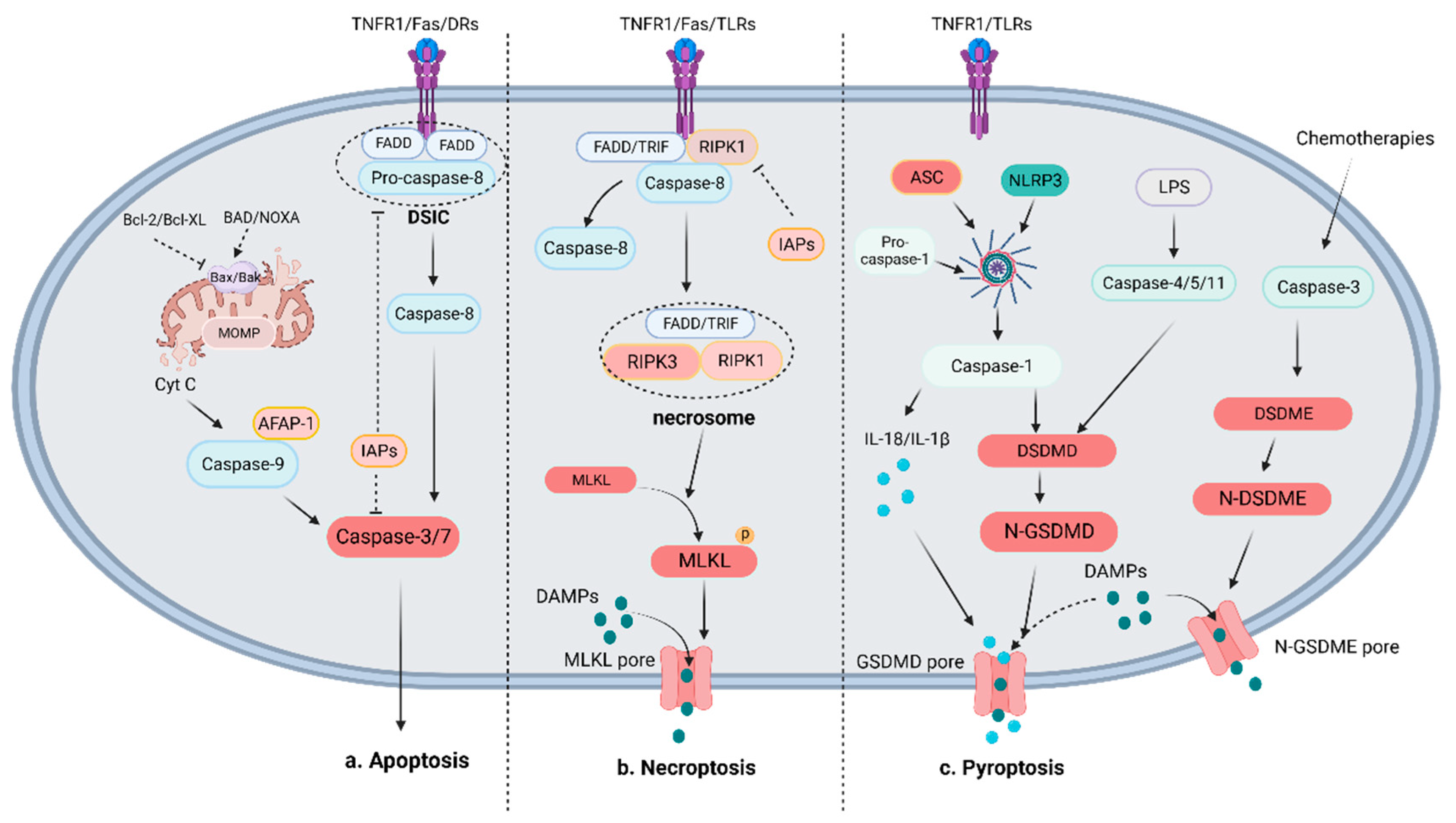 Preprints 88019 g001