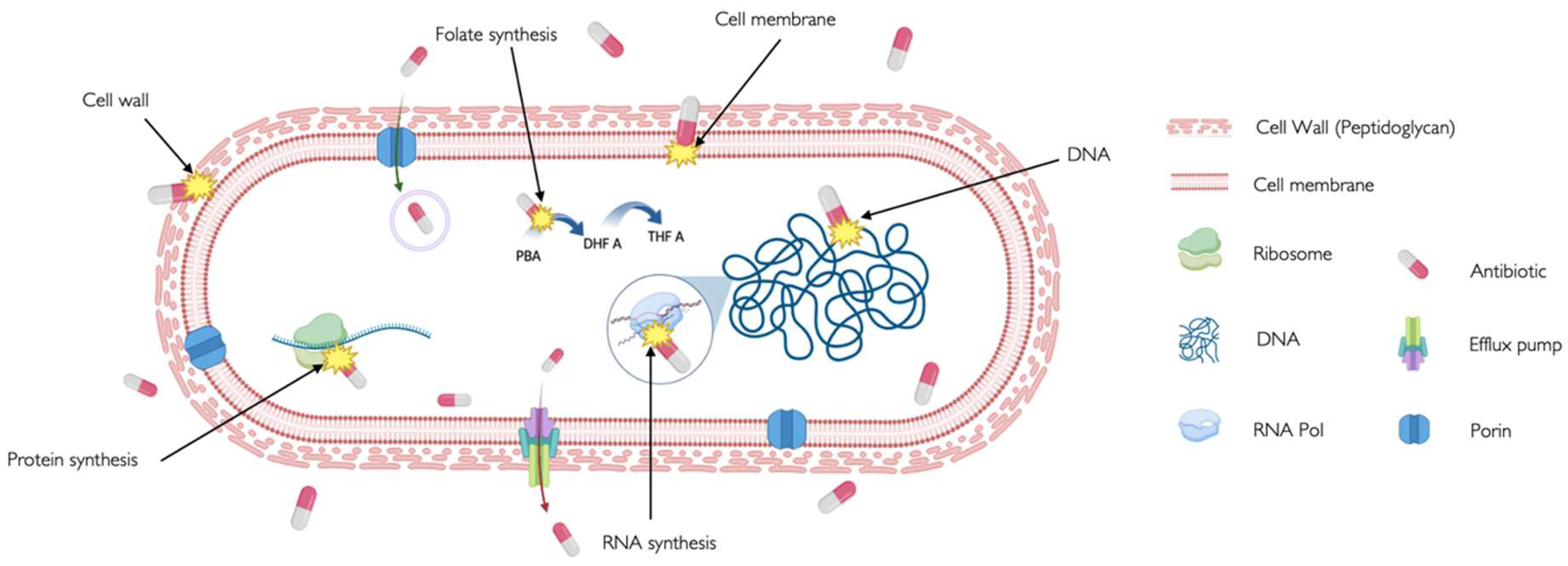 Preprints 116779 g001