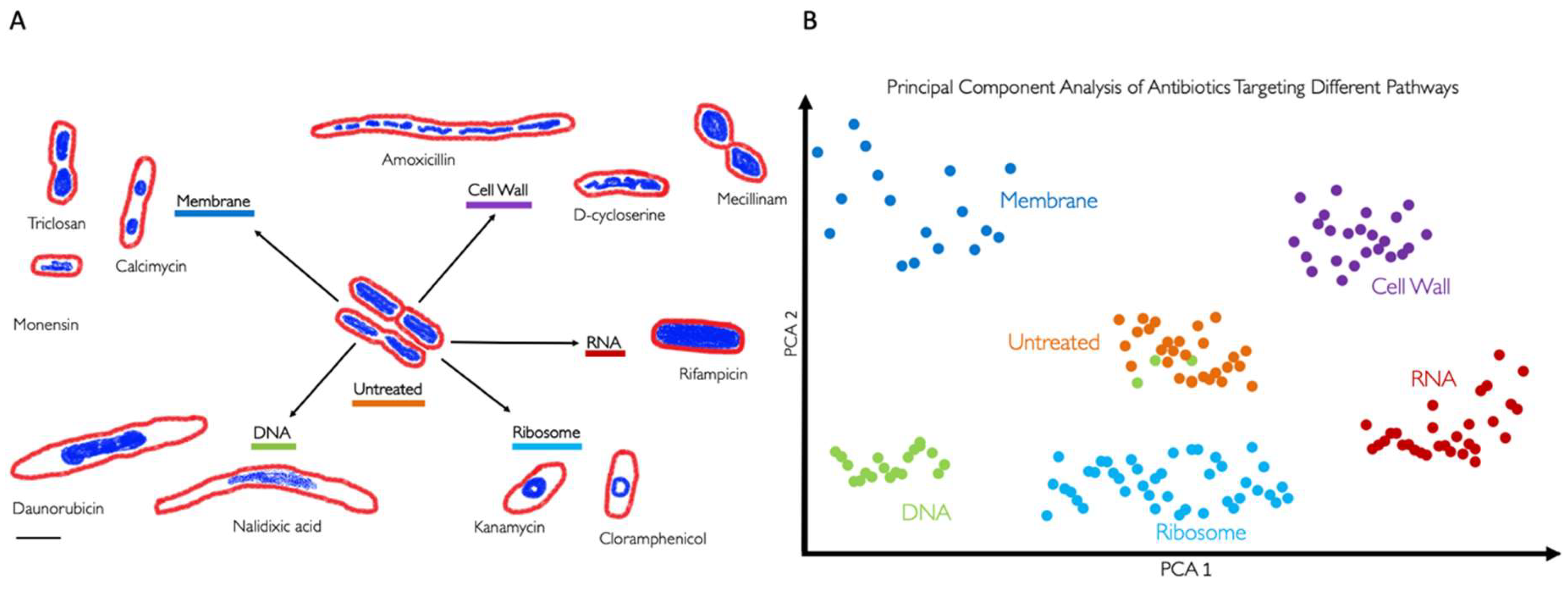 Preprints 116779 g002