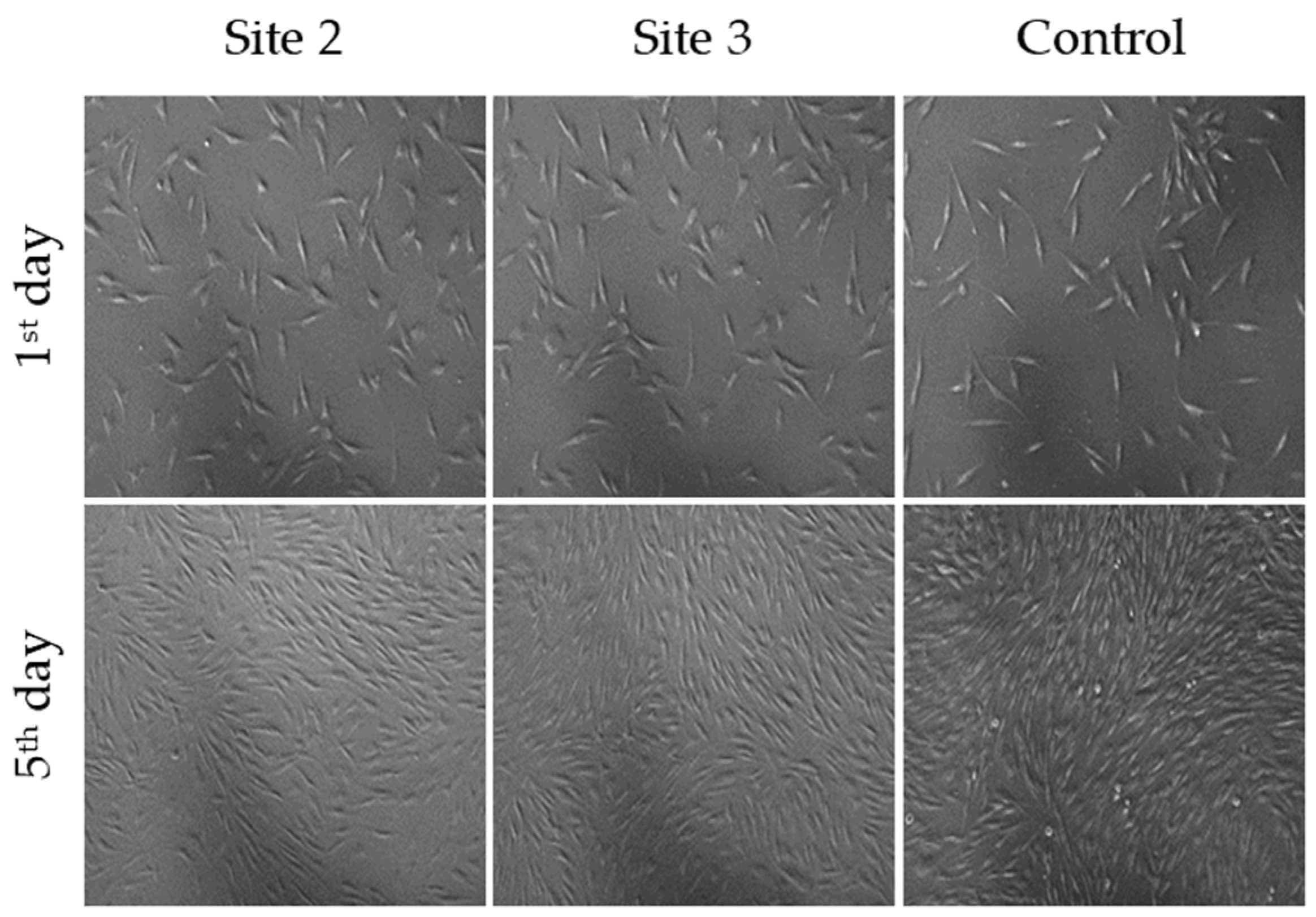 Preprints 83564 g003