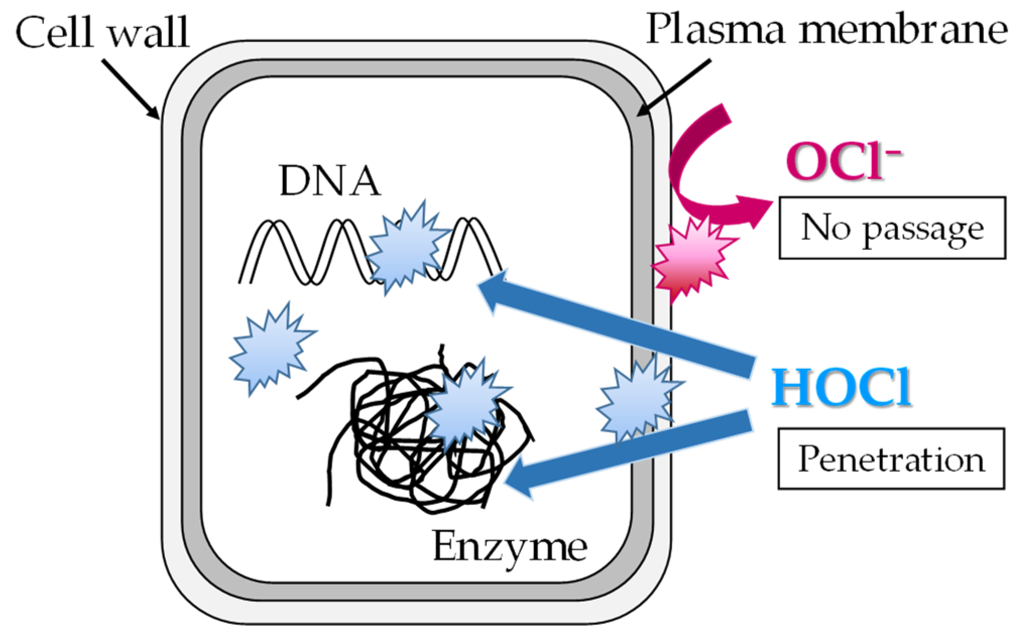 Preprints 117154 g0a2