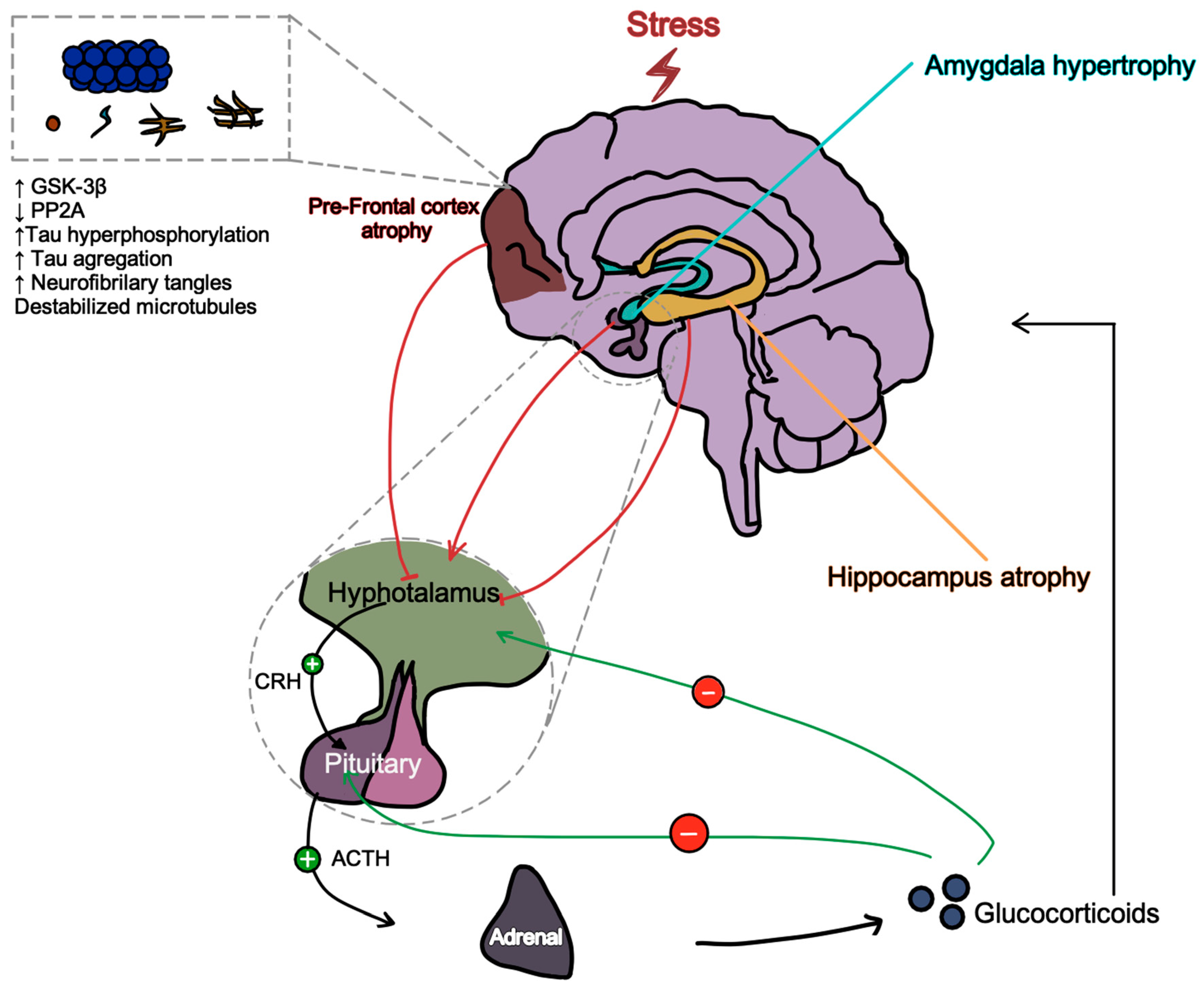 Preprints 106726 g001