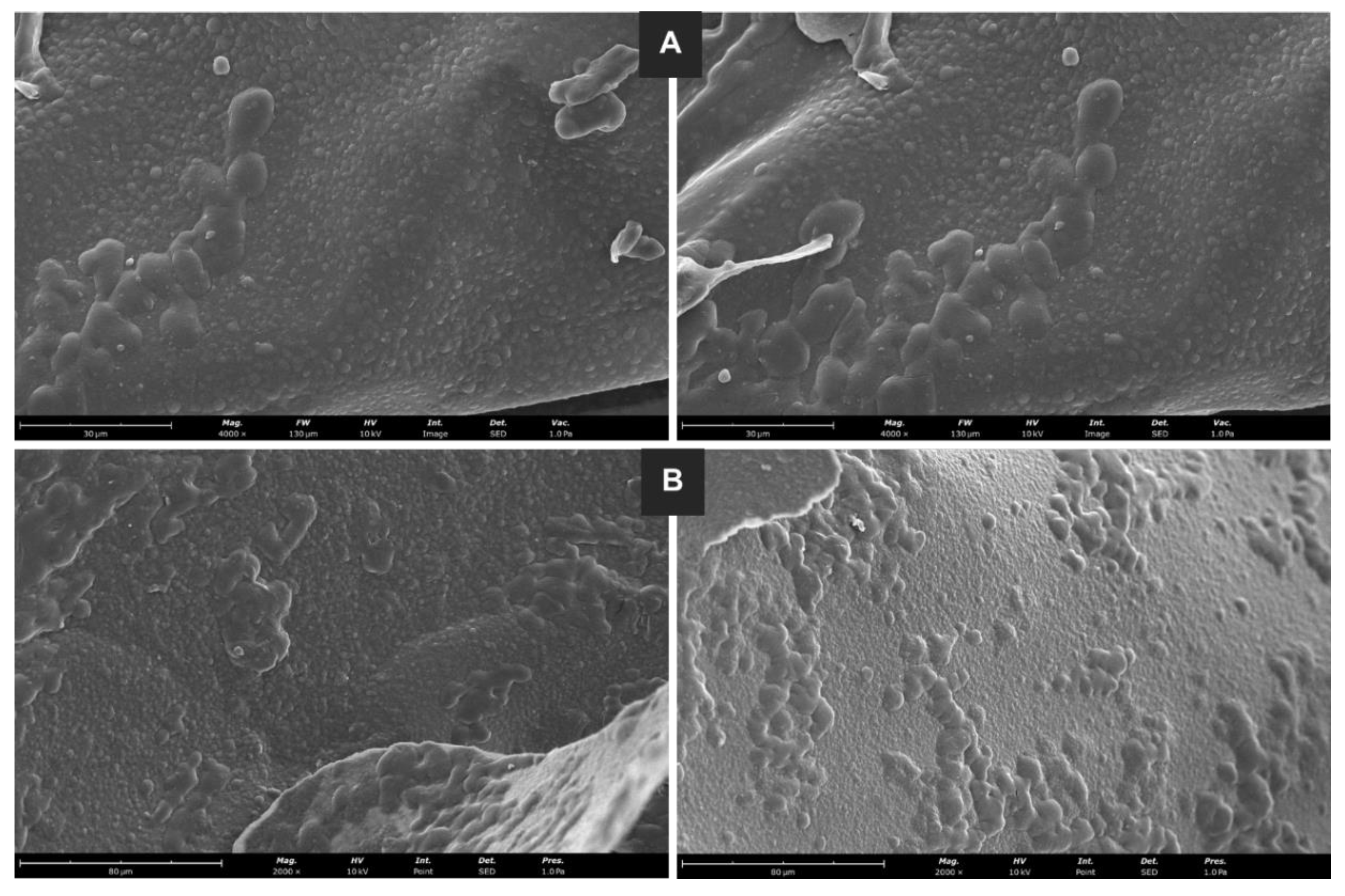 Preprints 103988 g006