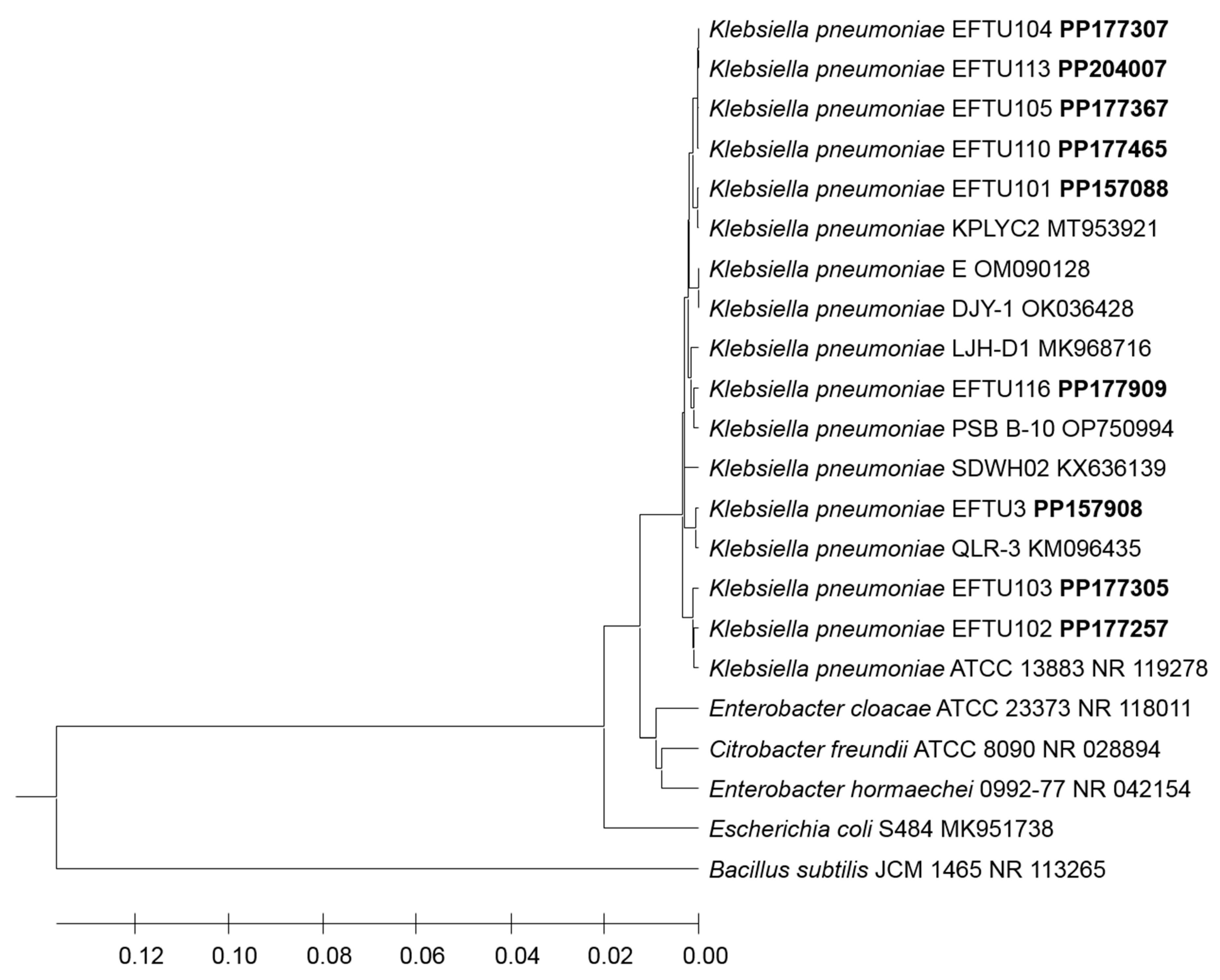 Preprints 104613 g001