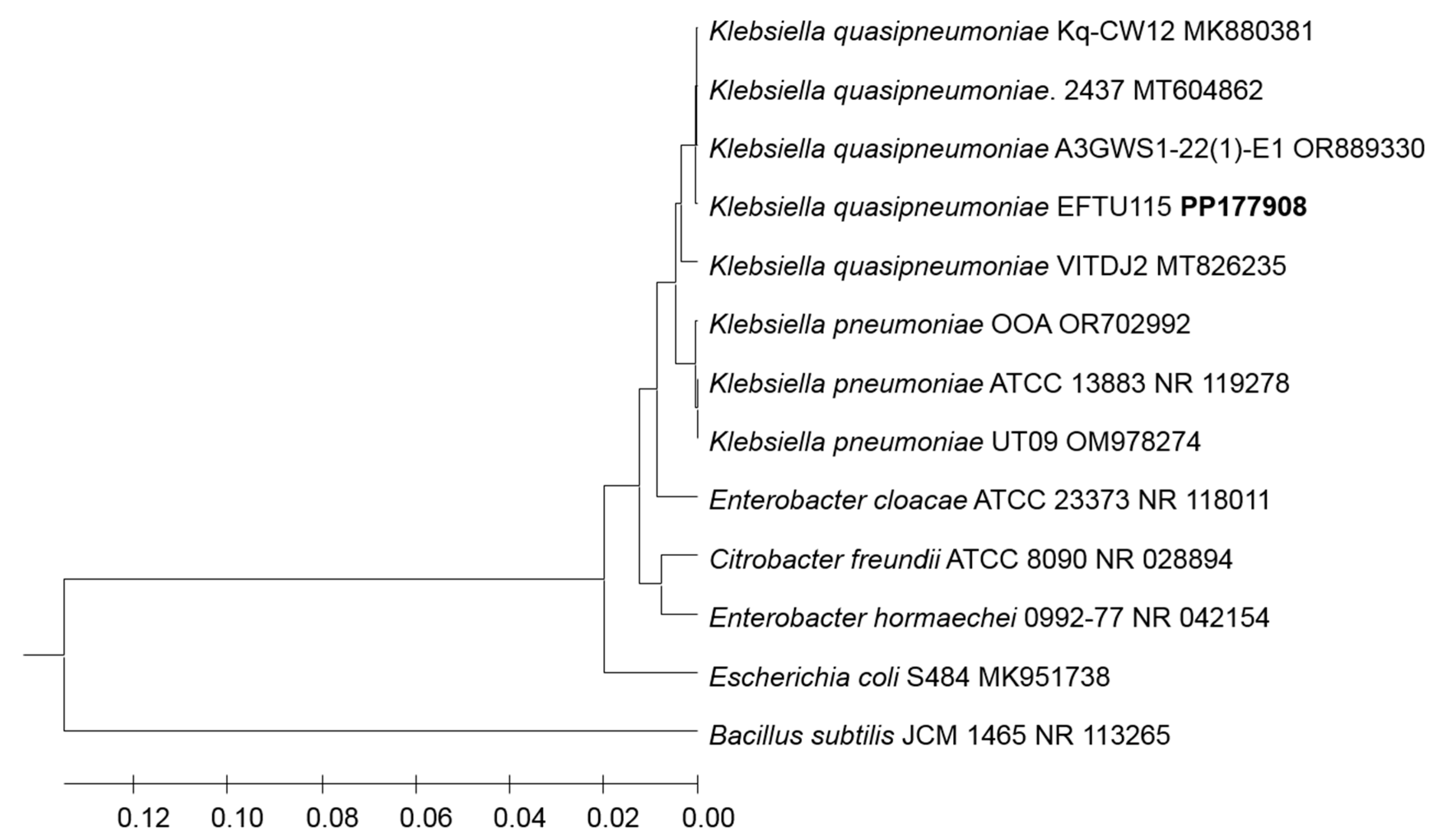 Preprints 104613 g002