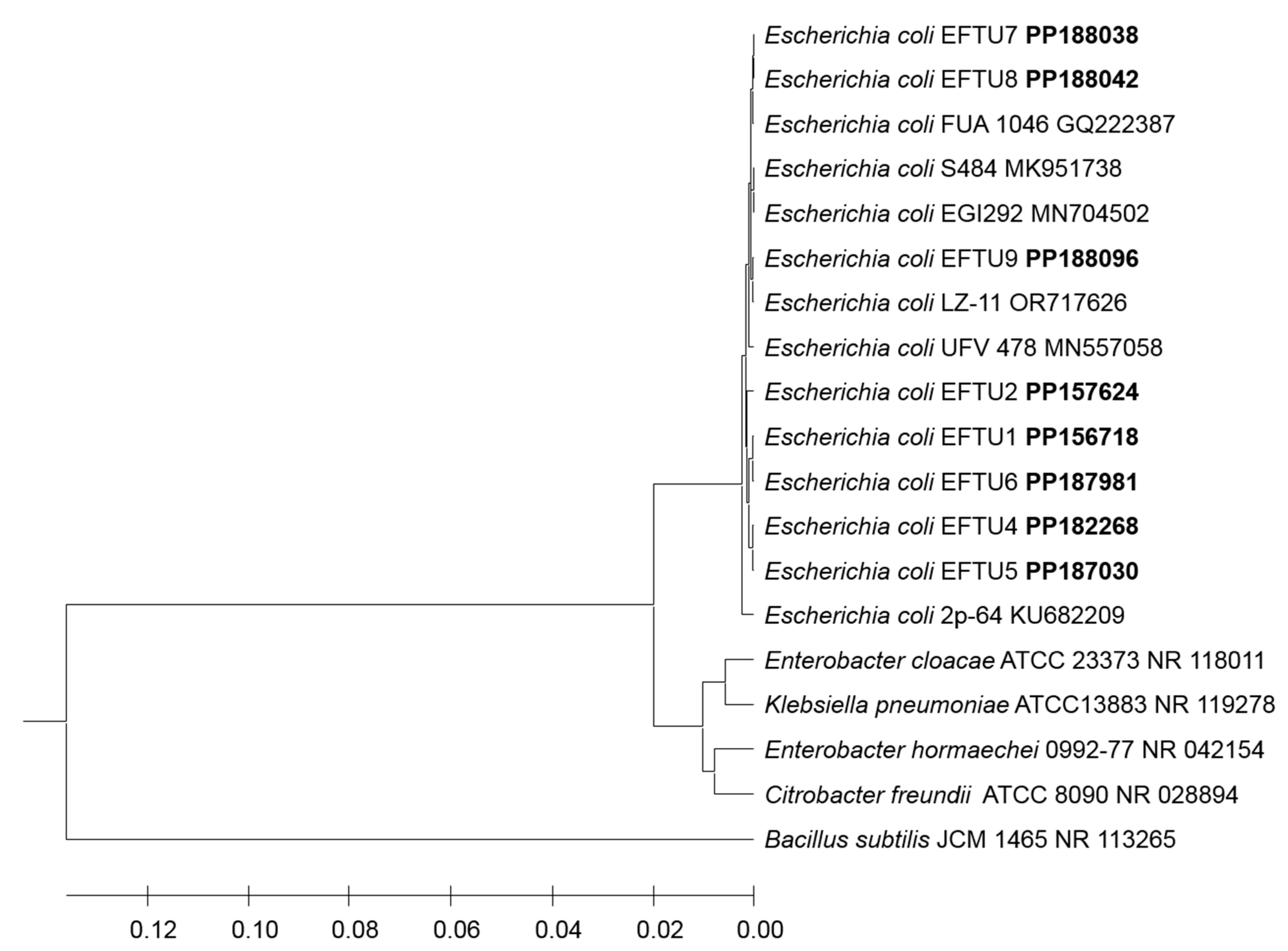 Preprints 104613 g003