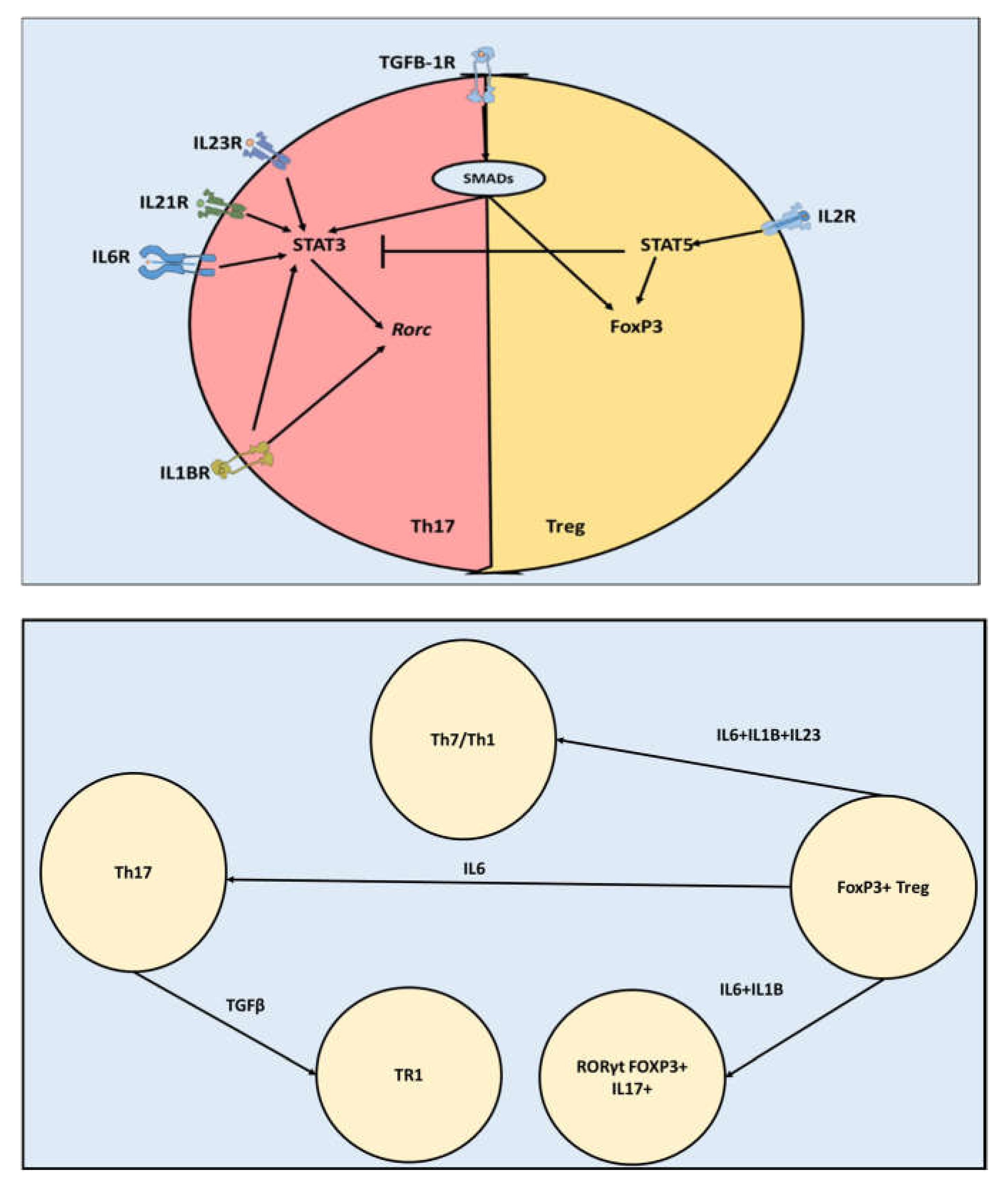 Preprints 69142 g001