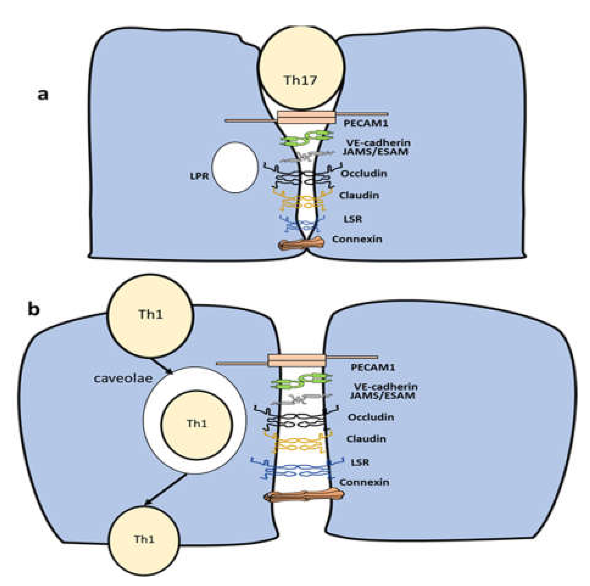 Preprints 69142 g002