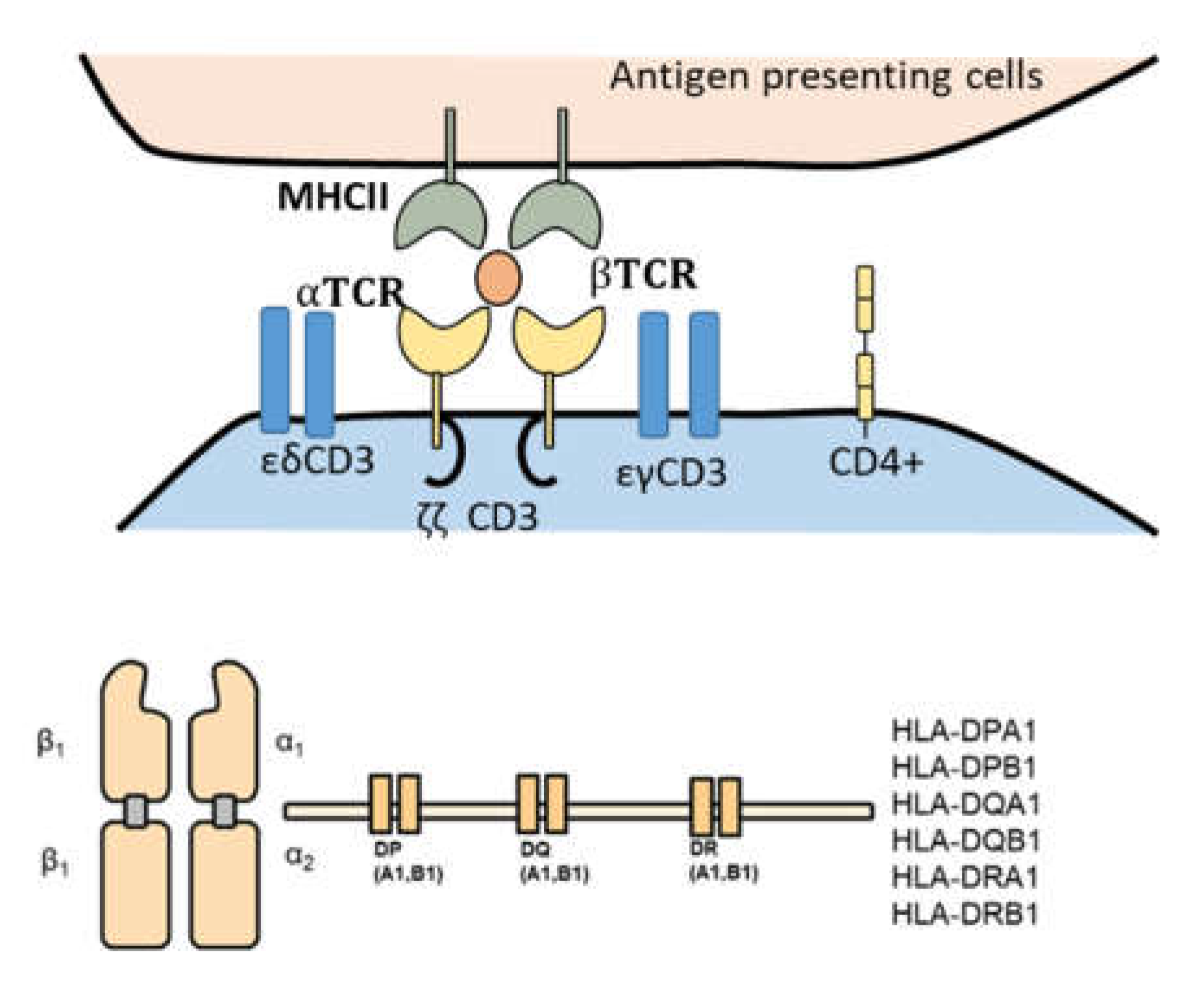 Preprints 69142 g003