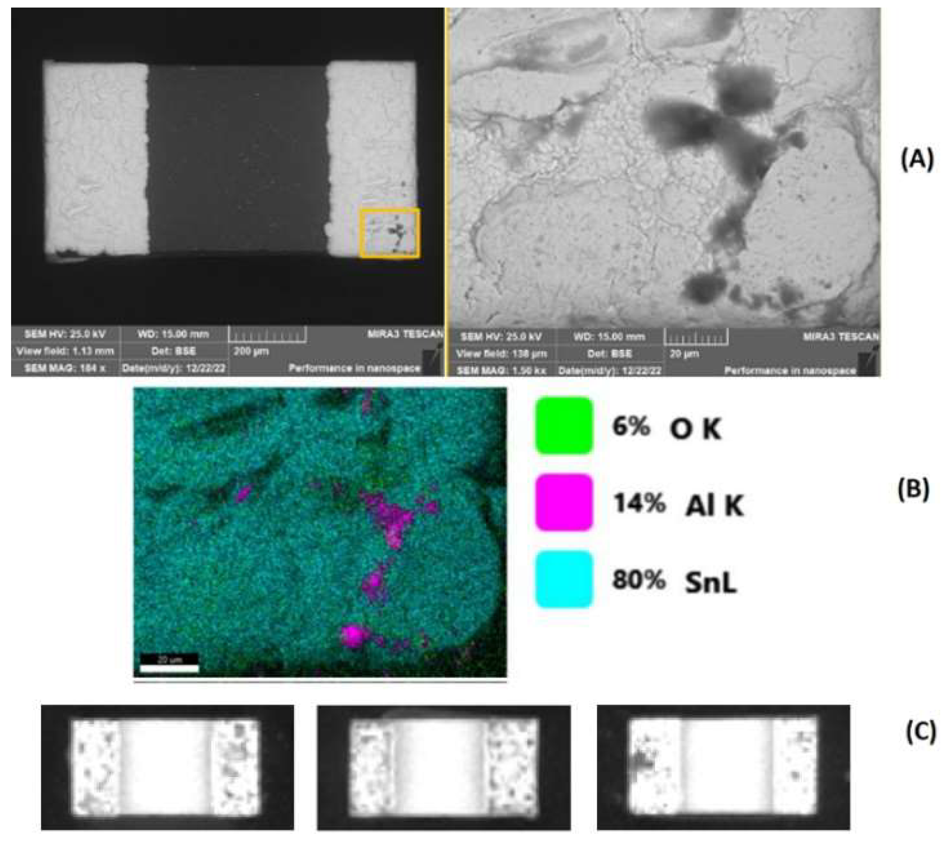 Preprints 116412 g002