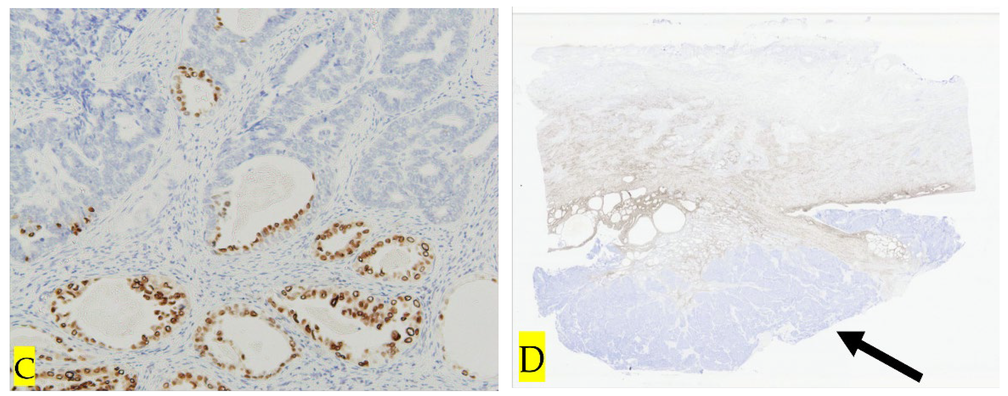 Preprints 118678 g004b