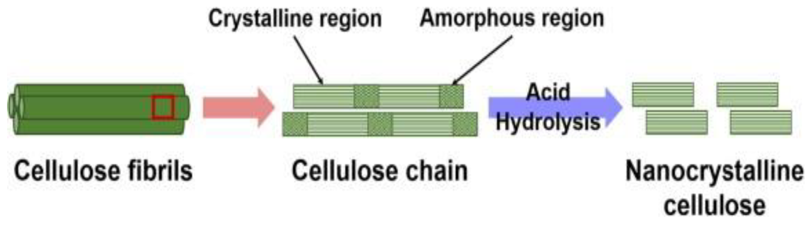 Preprints 75093 g012