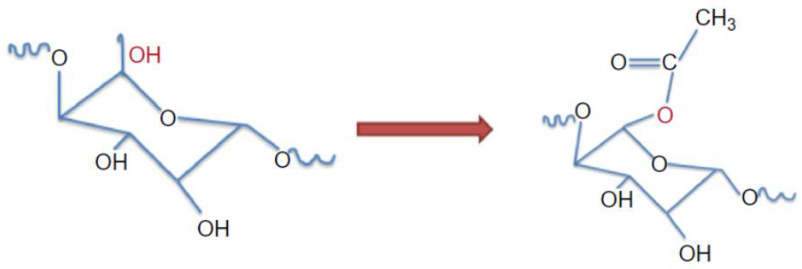 Preprints 75093 g019