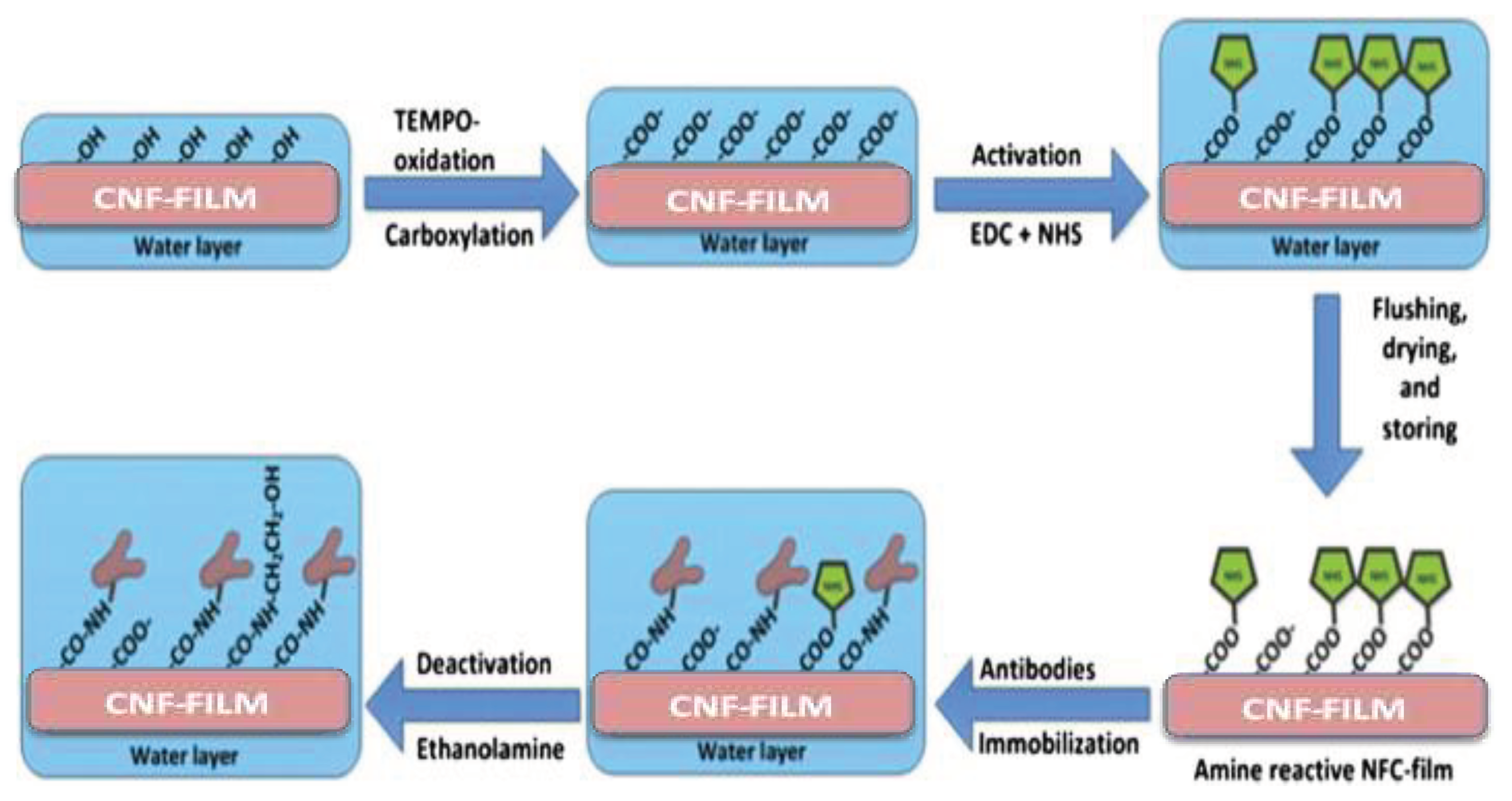 Preprints 75093 g022