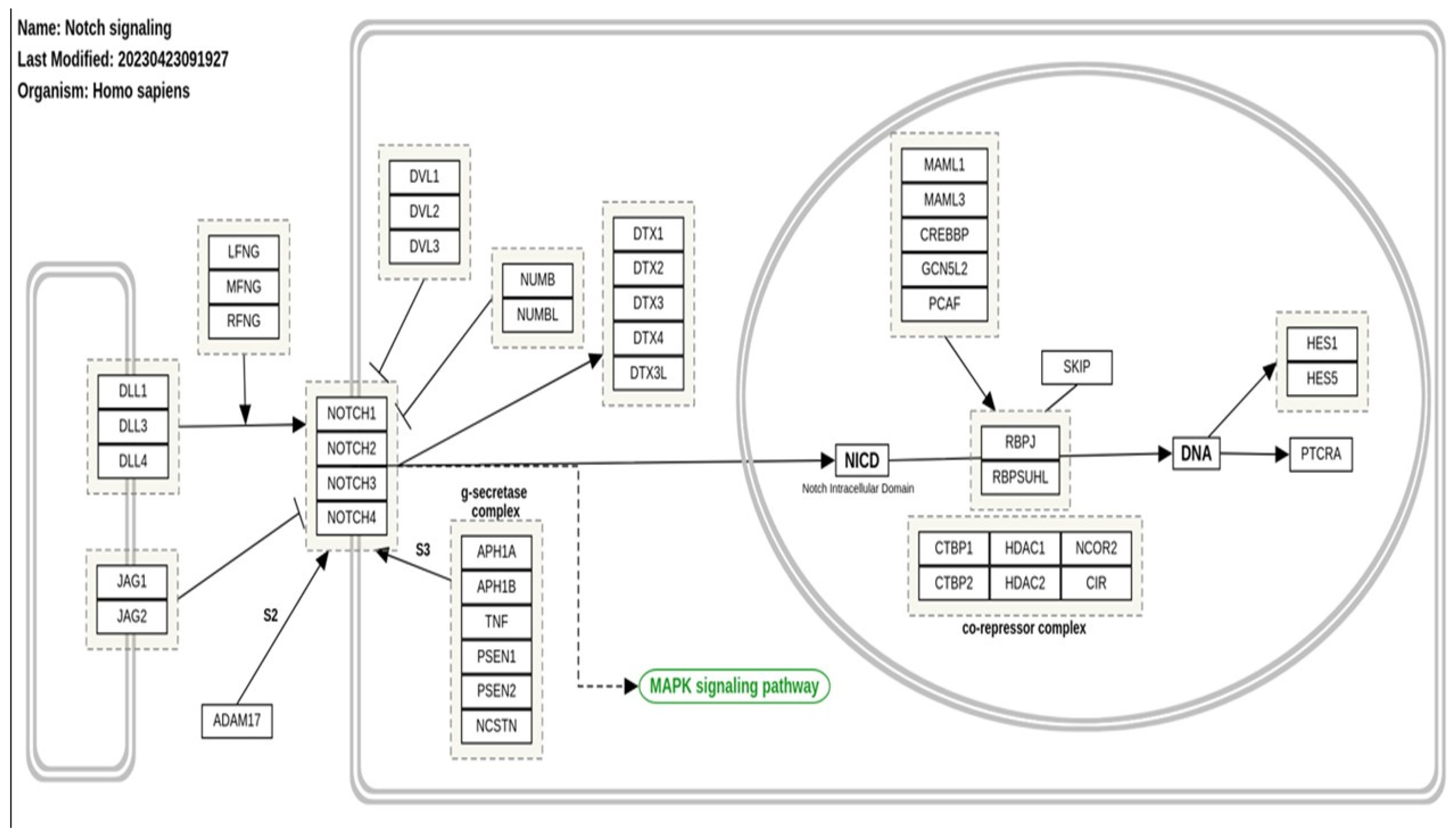 Preprints 120377 g001