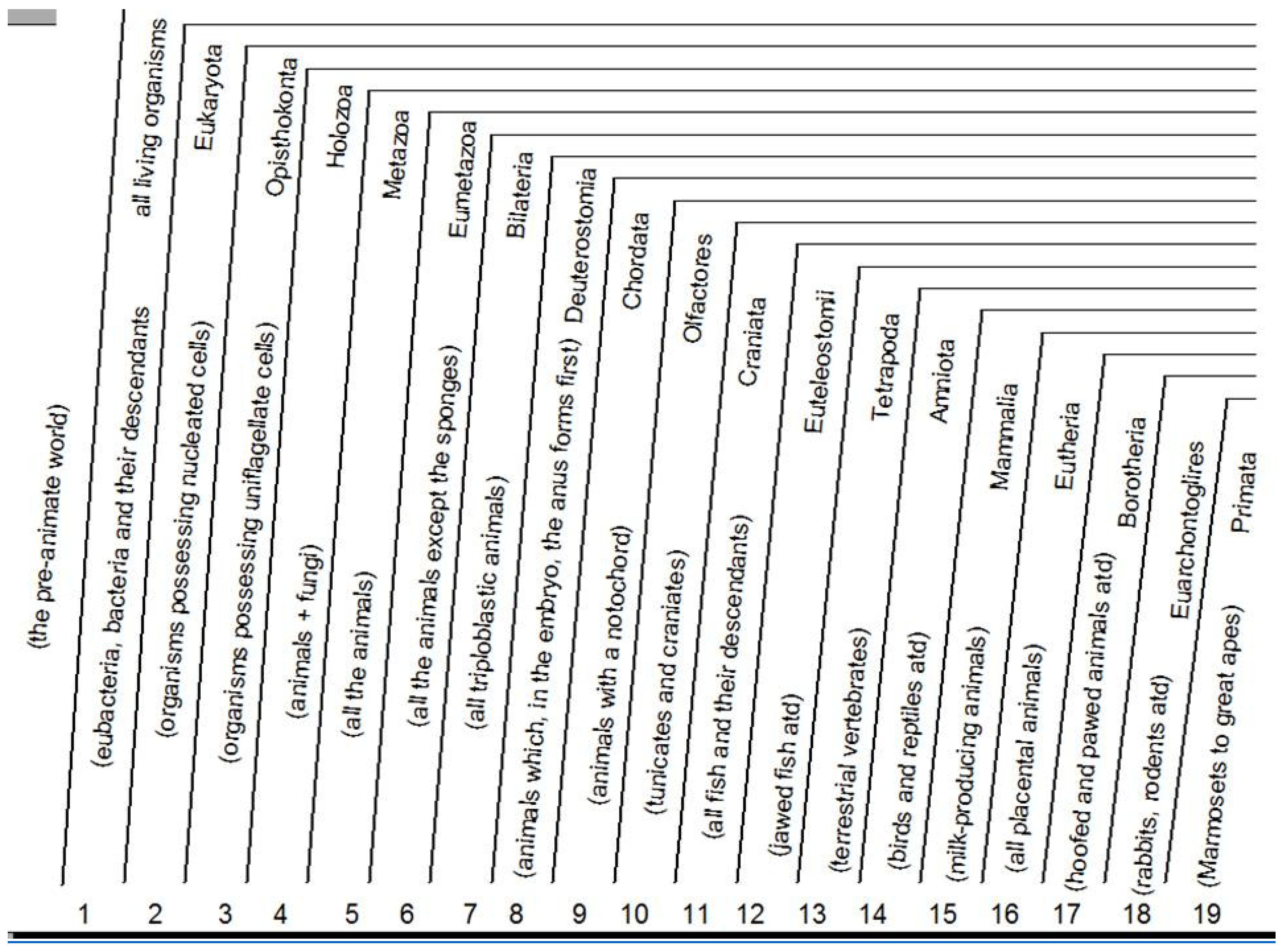 Preprints 120377 g002