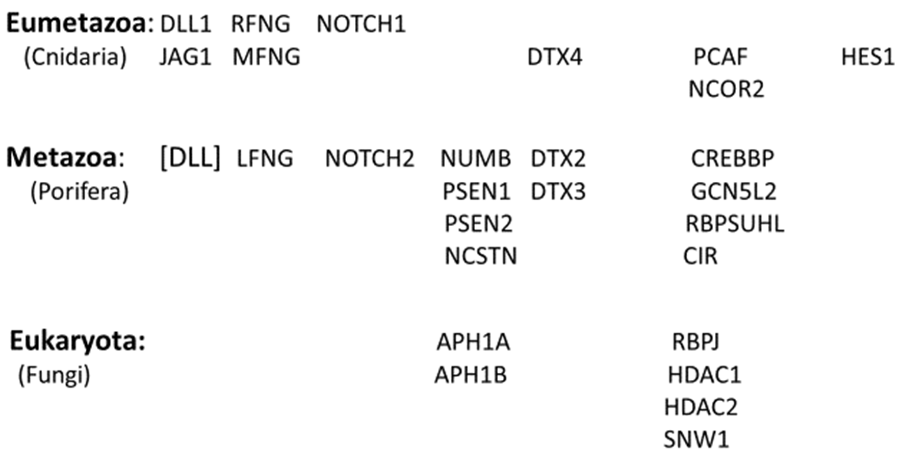 Preprints 120377 g005