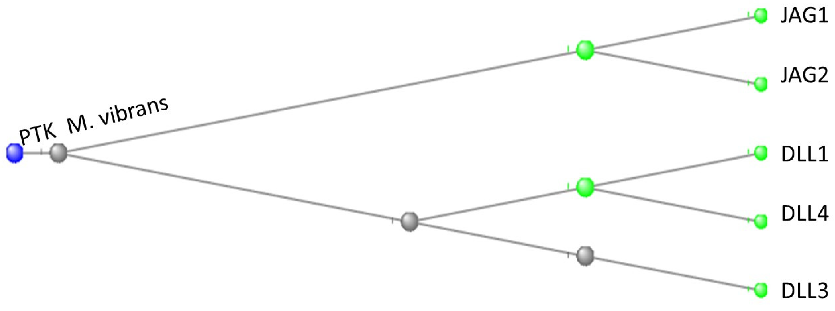 Preprints 120377 g010