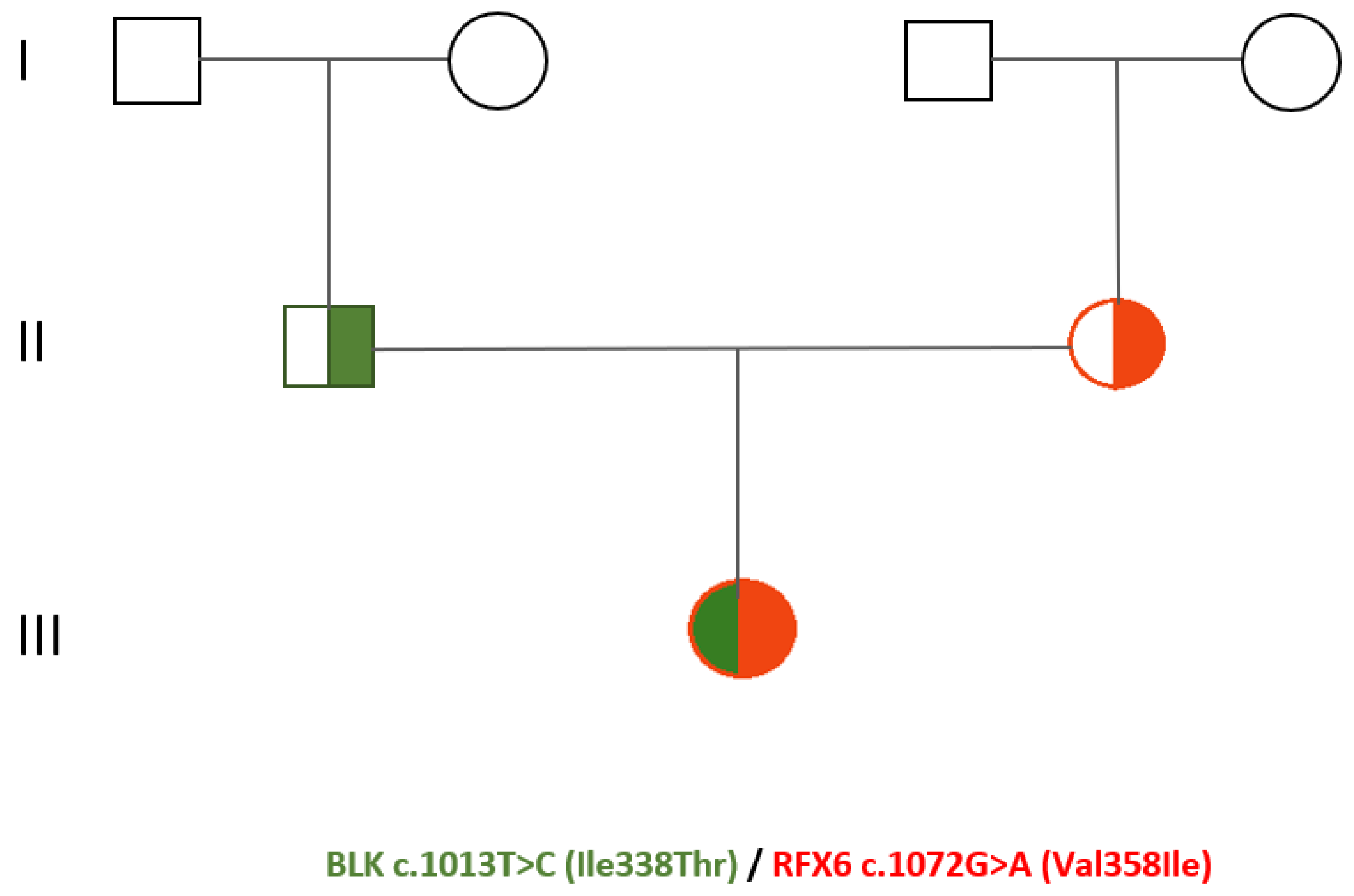 Preprints 93476 g001