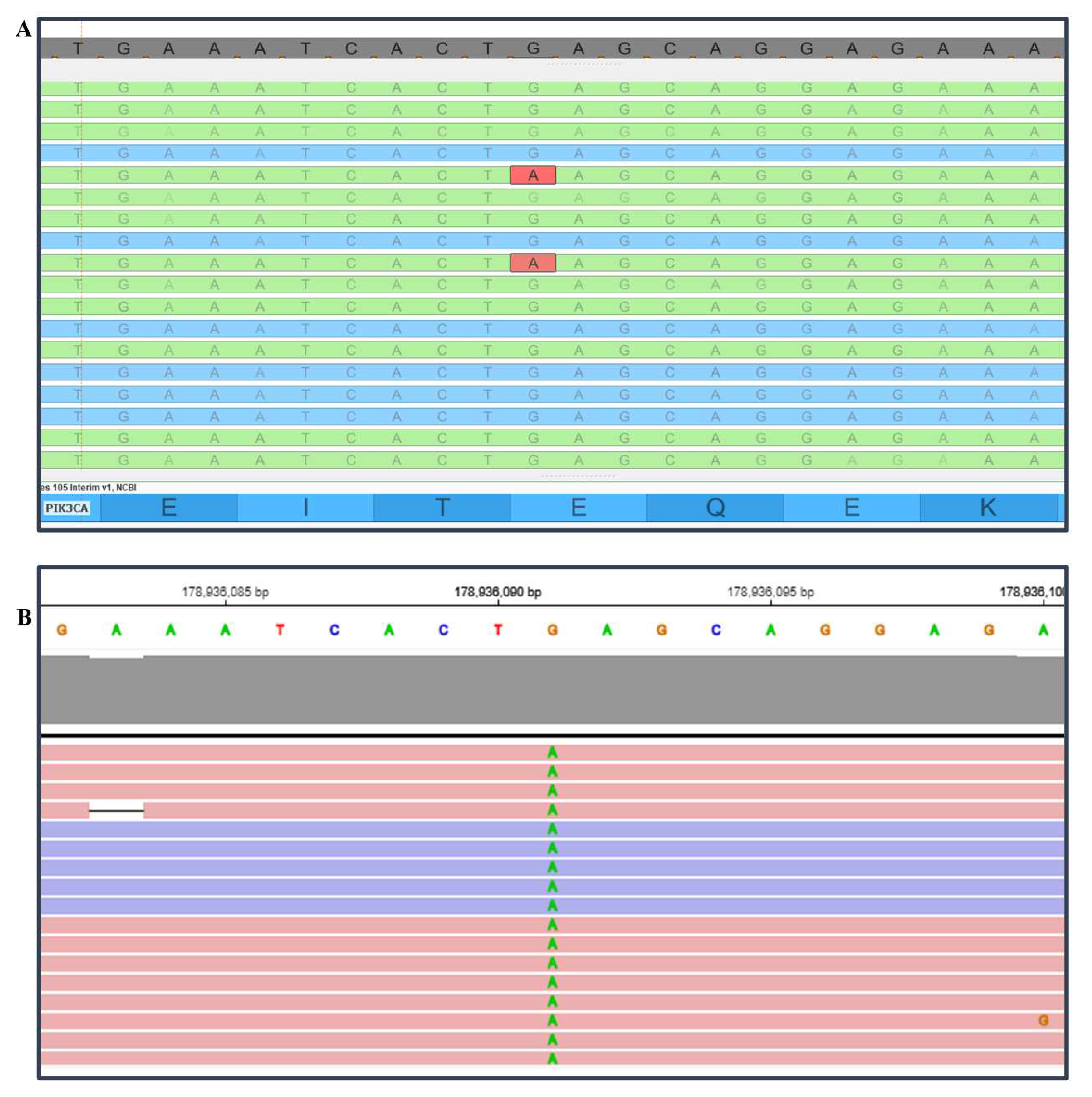 Preprints 86239 g001