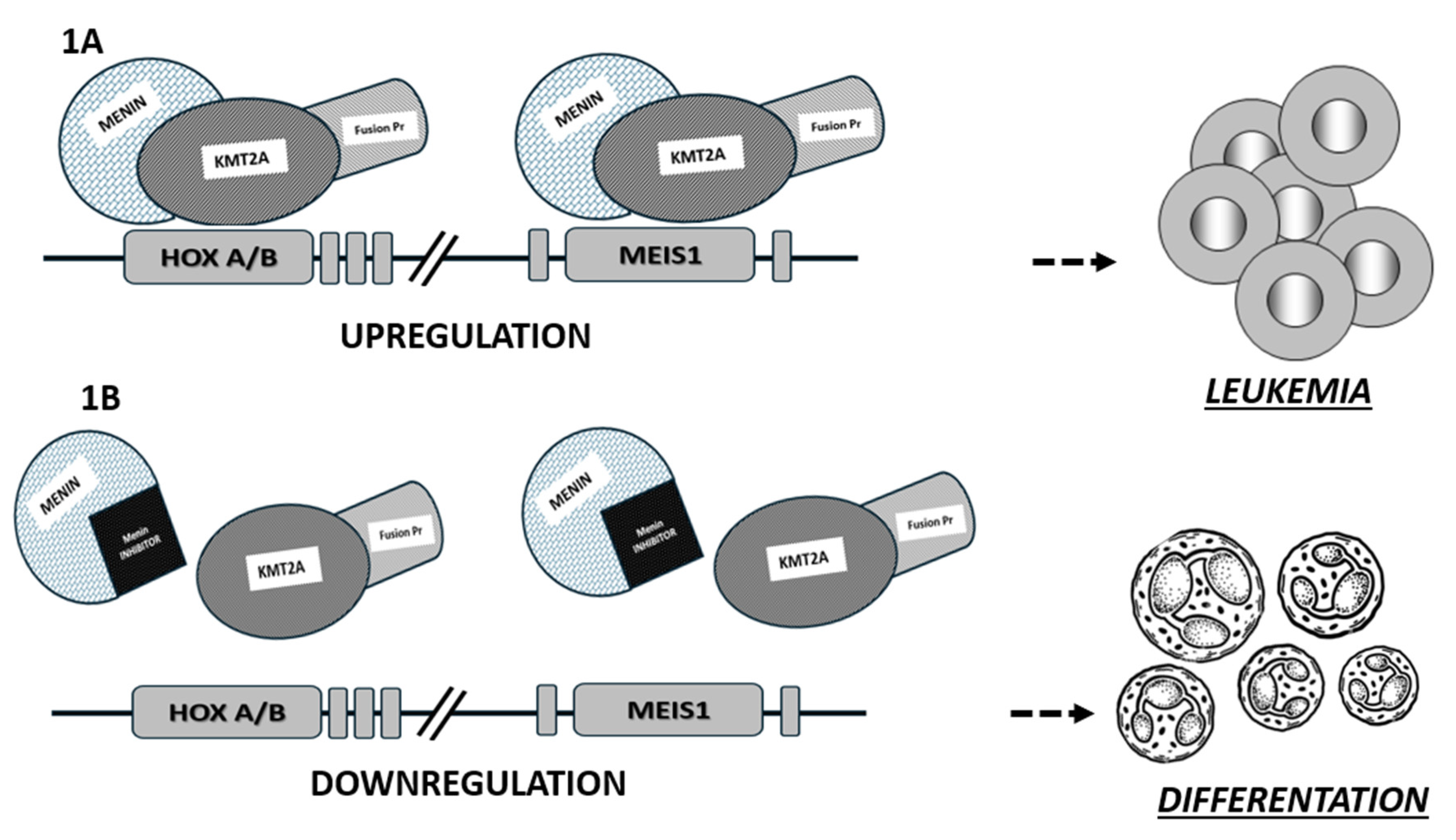 Preprints 102800 g001