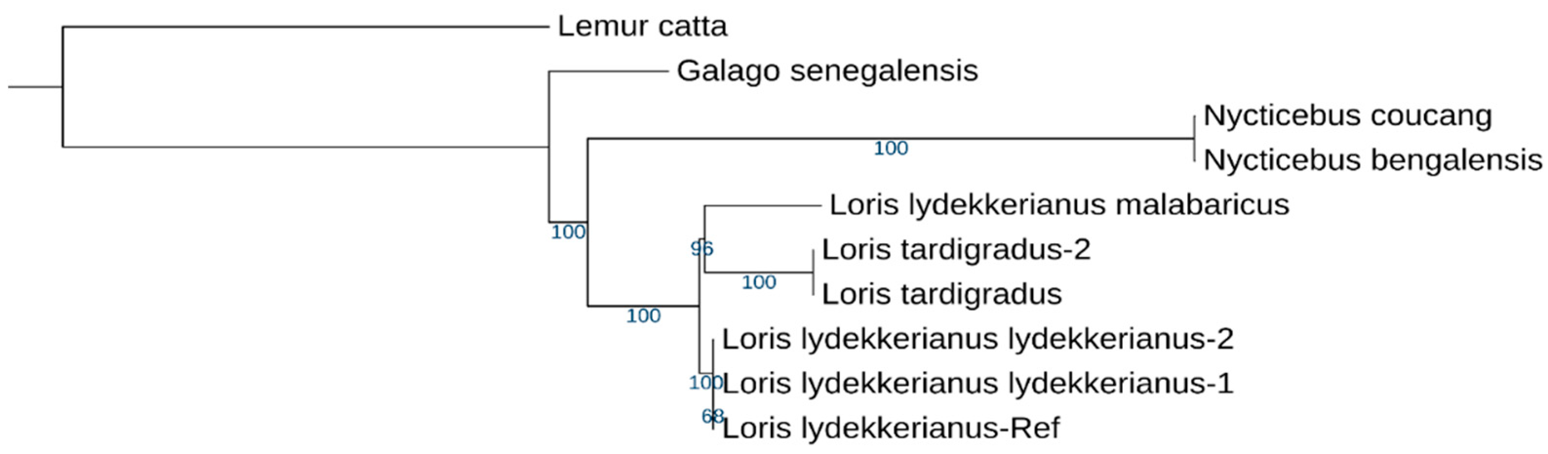 Preprints 70268 g002