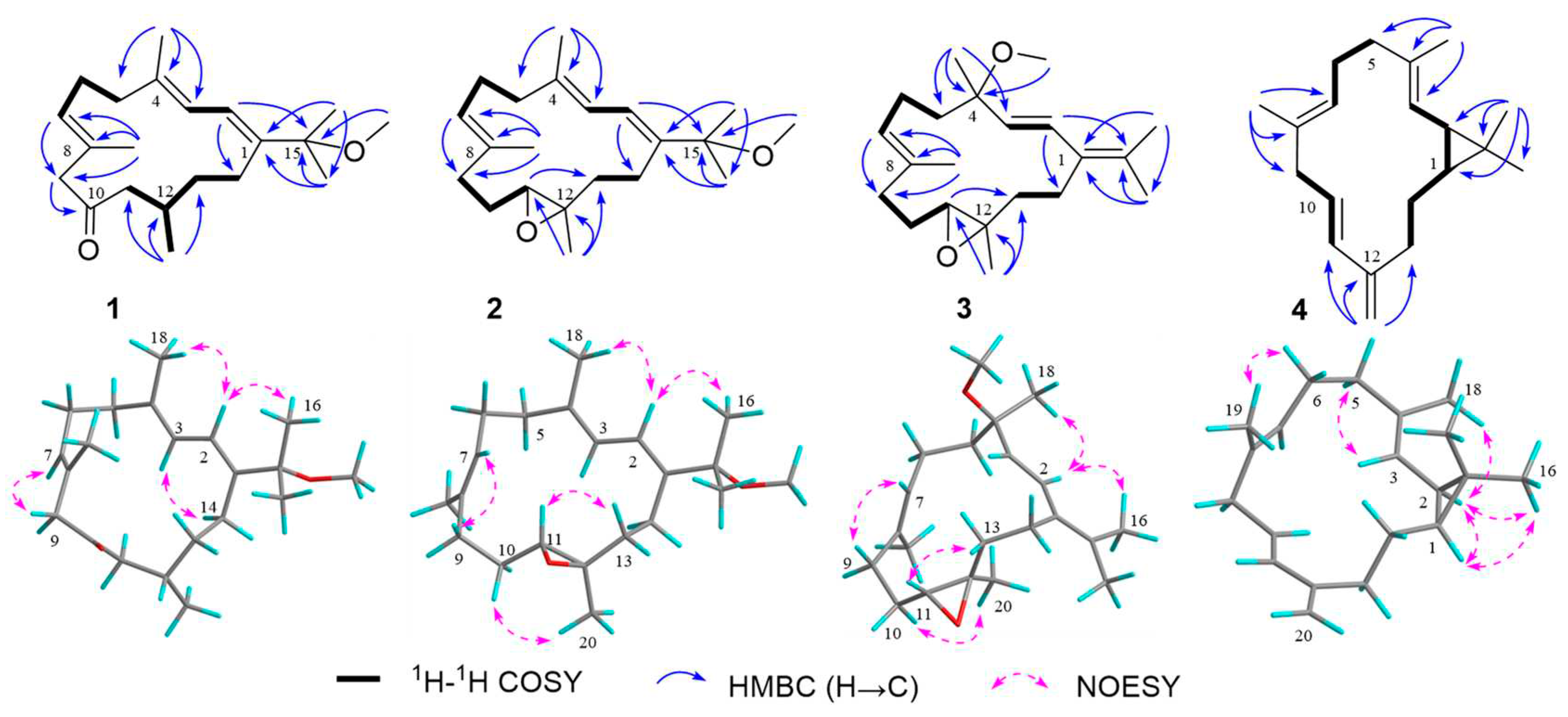 Preprints 84883 g002