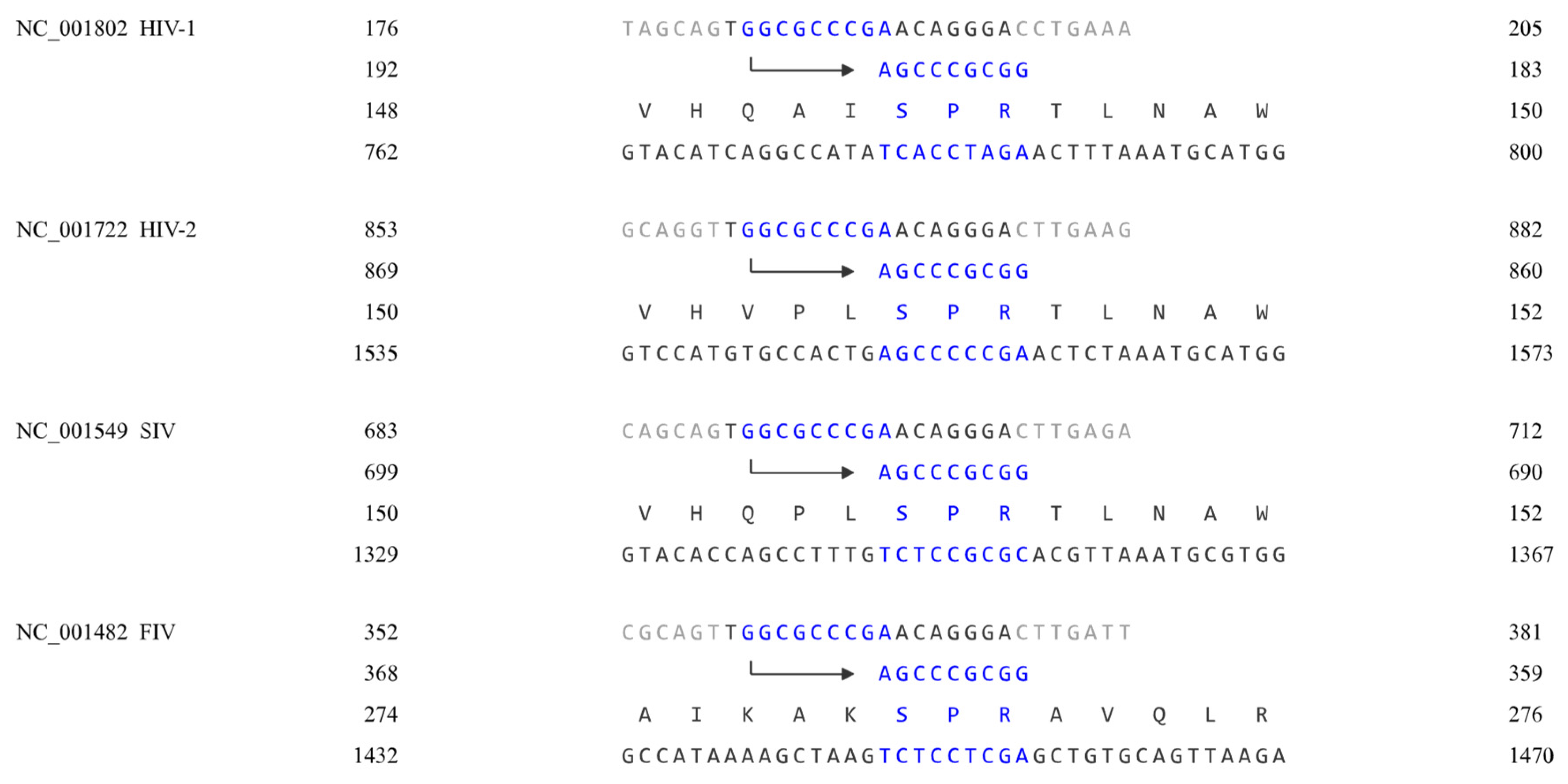 Preprints 77819 g002b