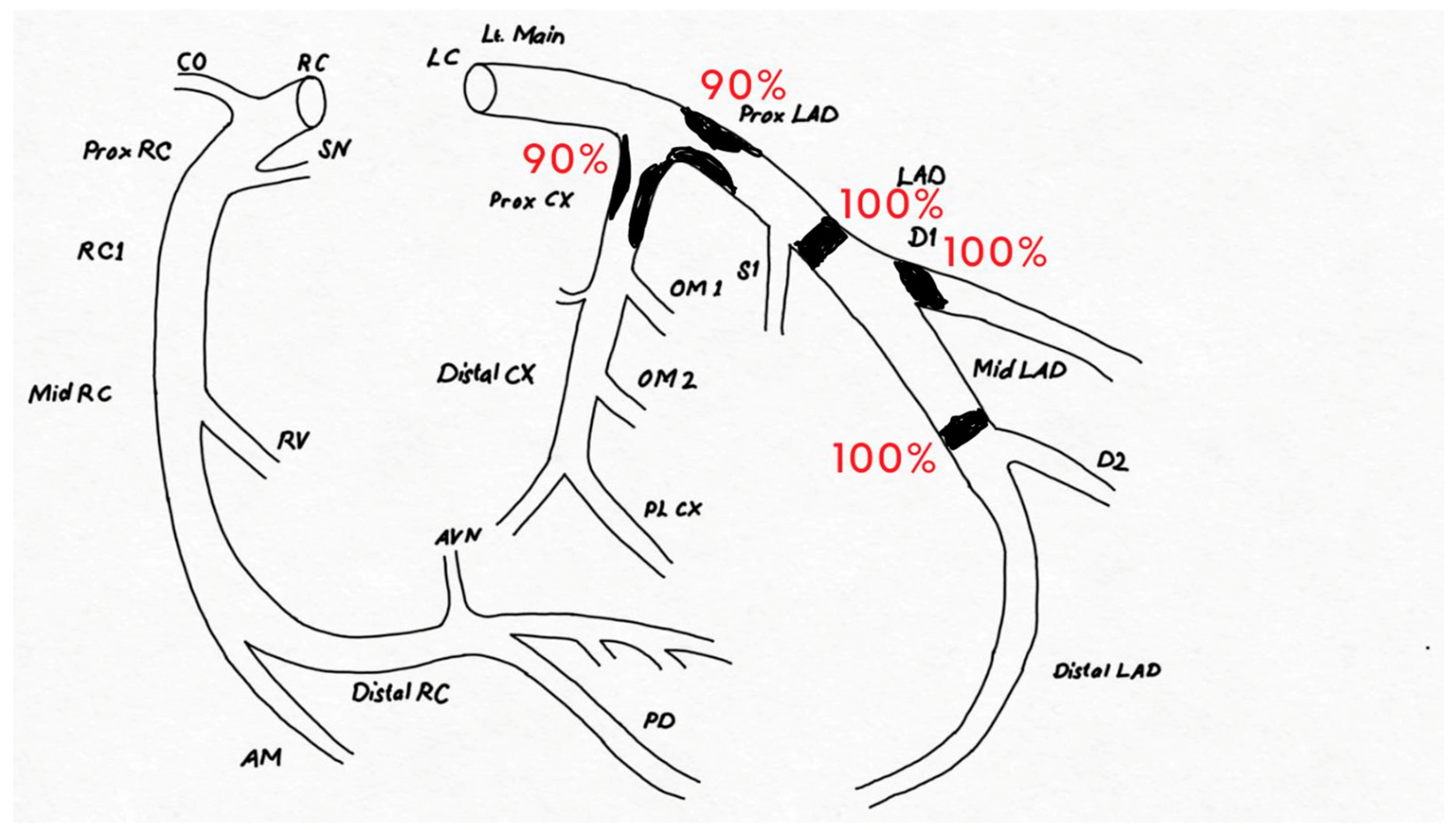 Preprints 109866 g001