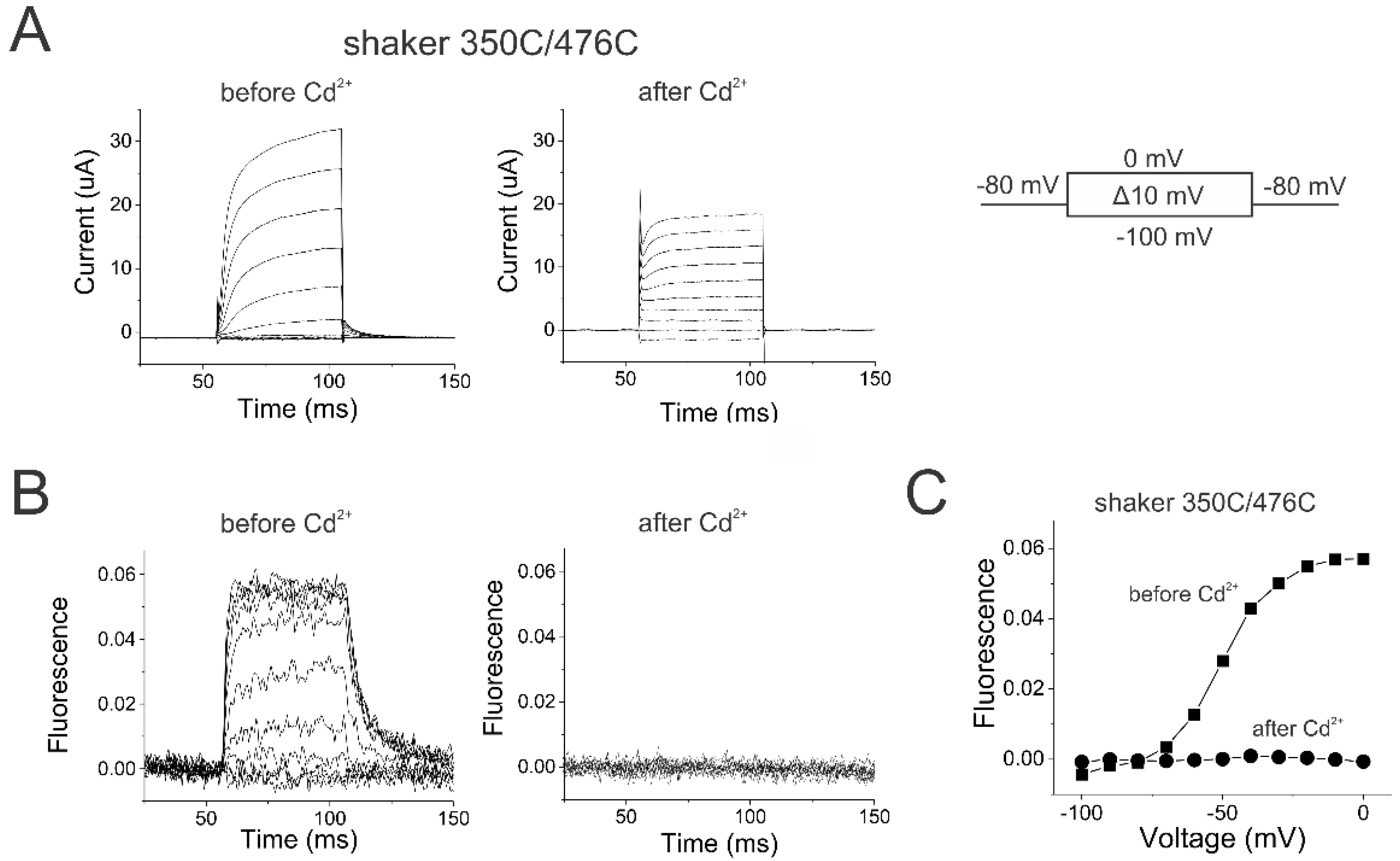 Preprints 100862 g003