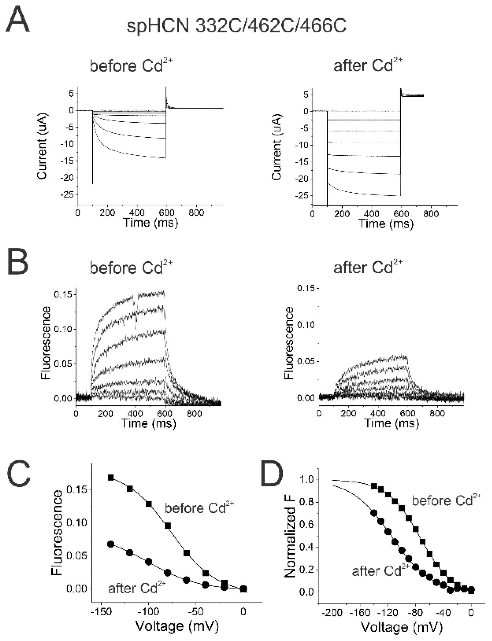 Preprints 100862 g004