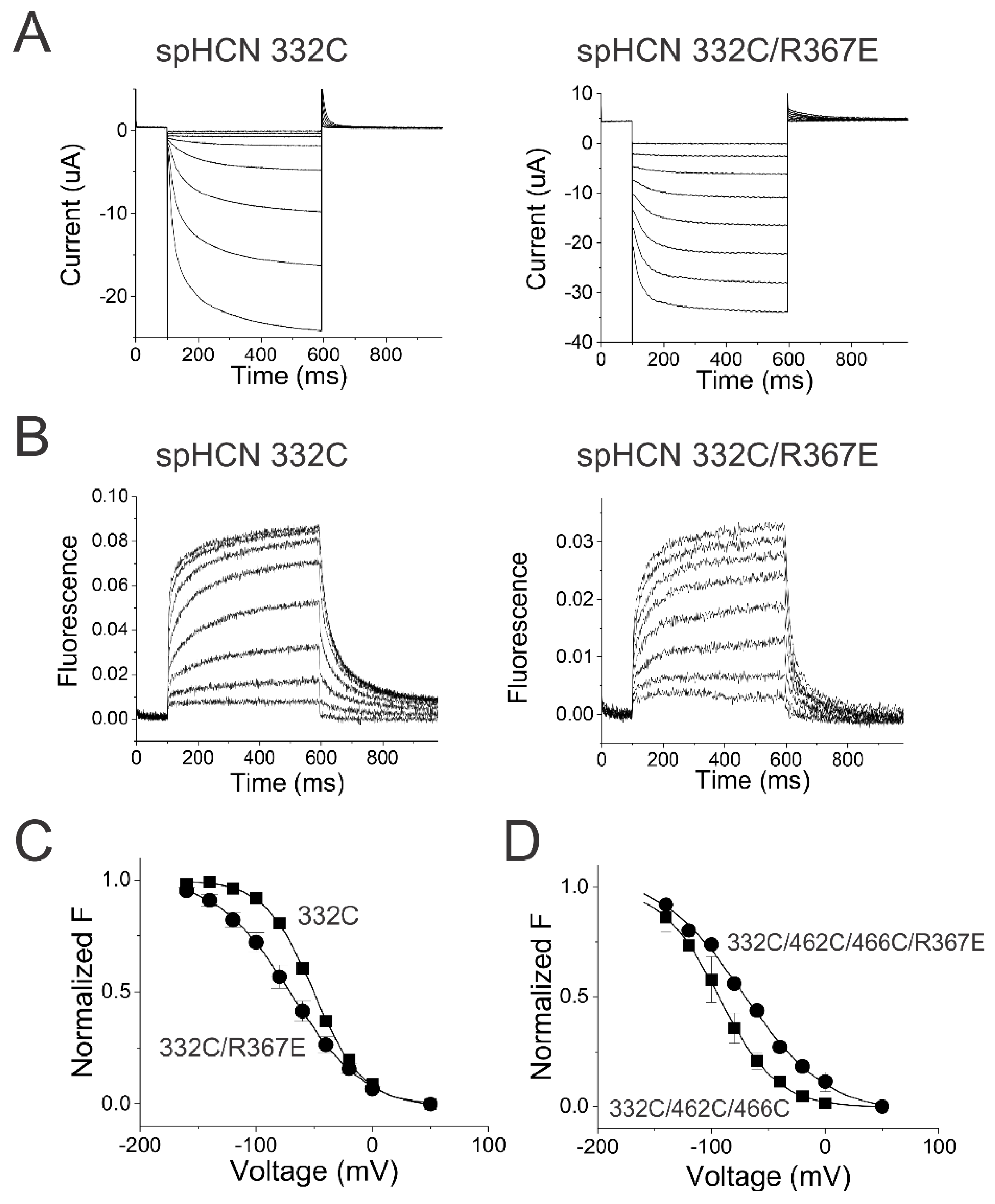 Preprints 100862 g005