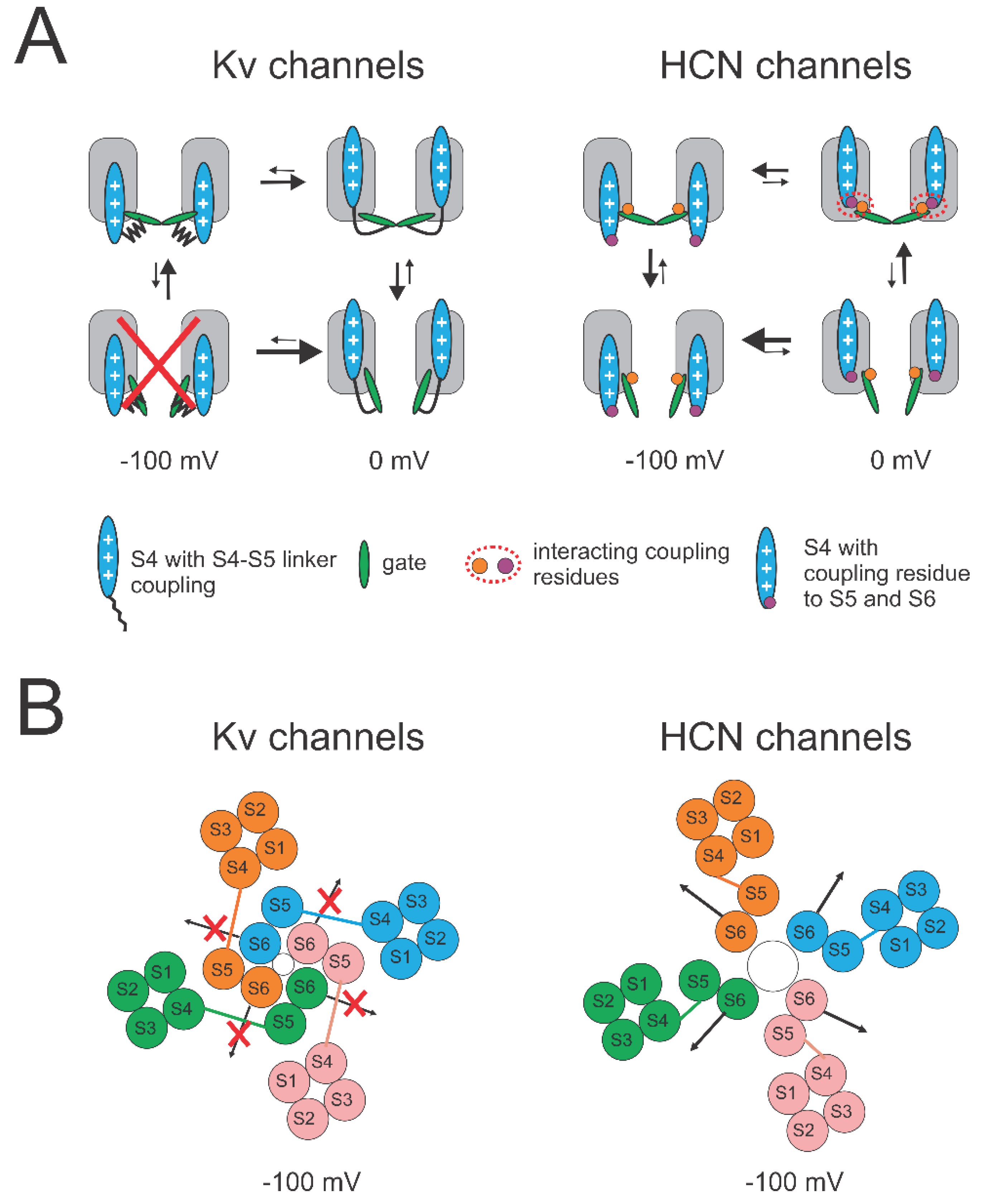 Preprints 100862 g006